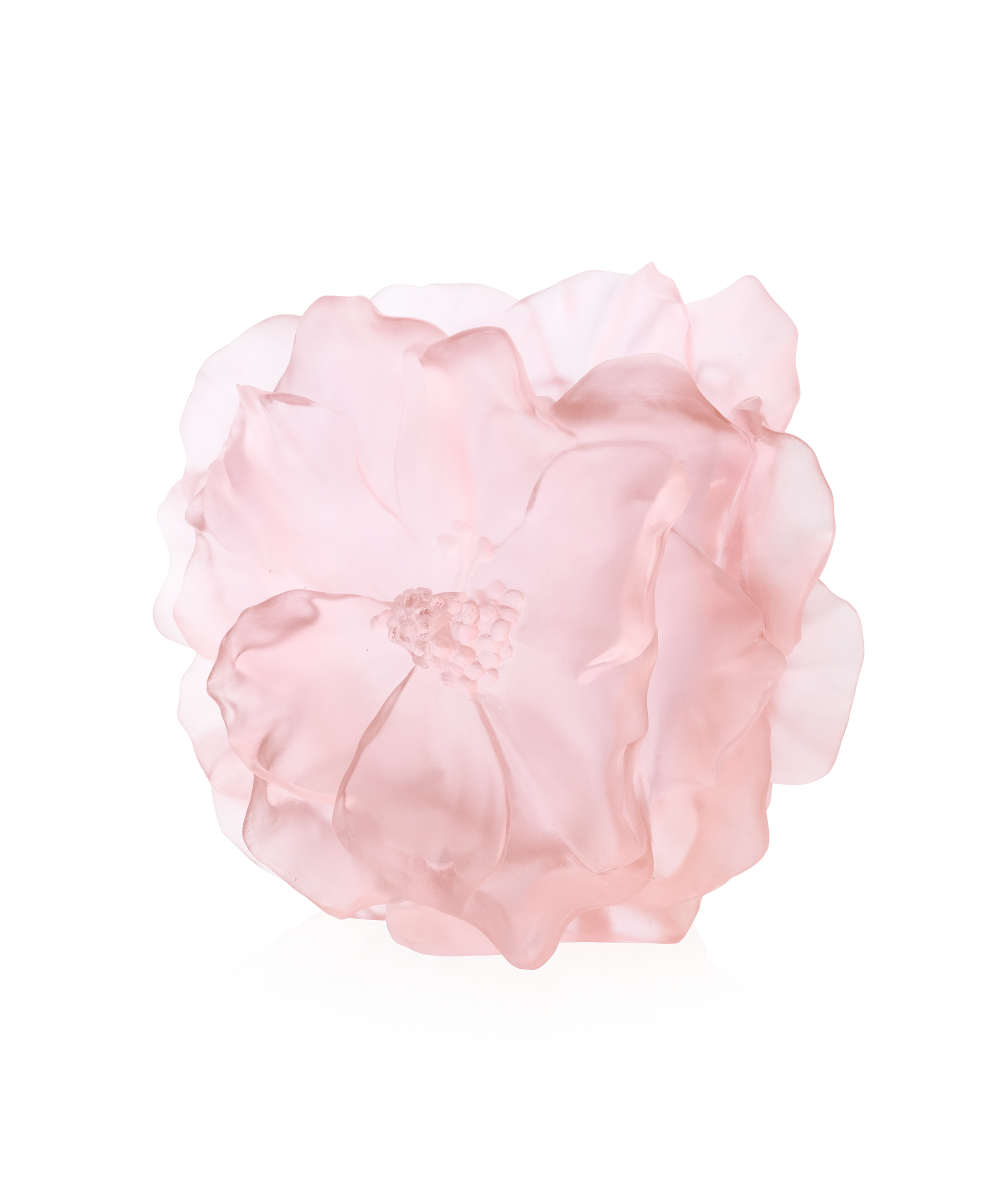 Camelia Vase grand modèle Rose - Daum