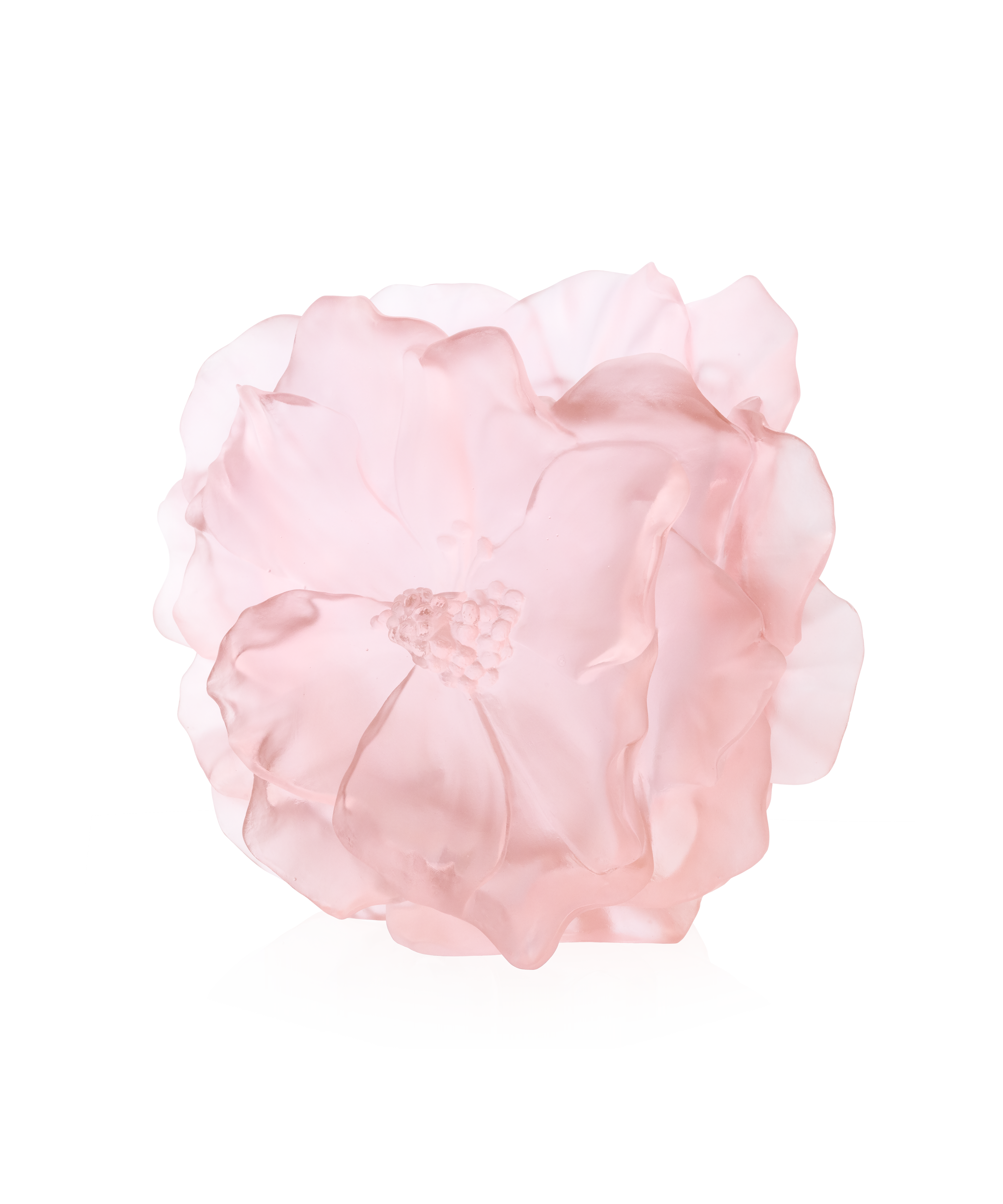 Camelia Vase grand modèle Rose - Daum