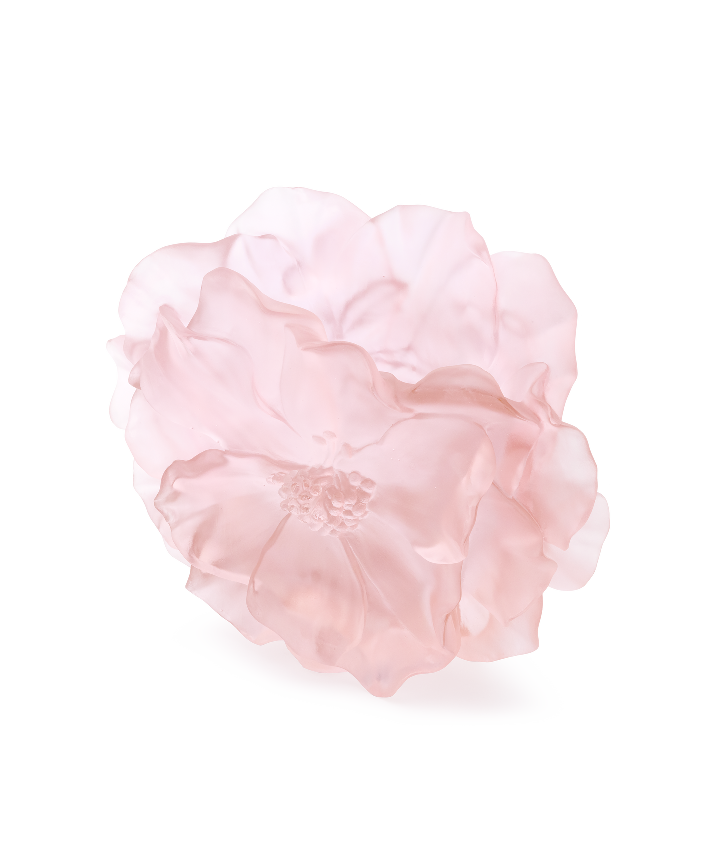 Camelia Vase grand modèle Rose - Daum