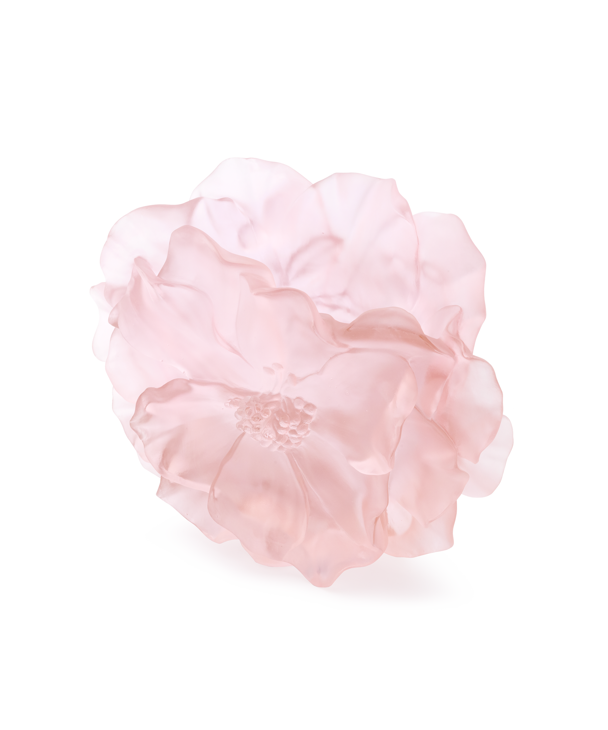Camelia Vase grand modèle Rose - Daum