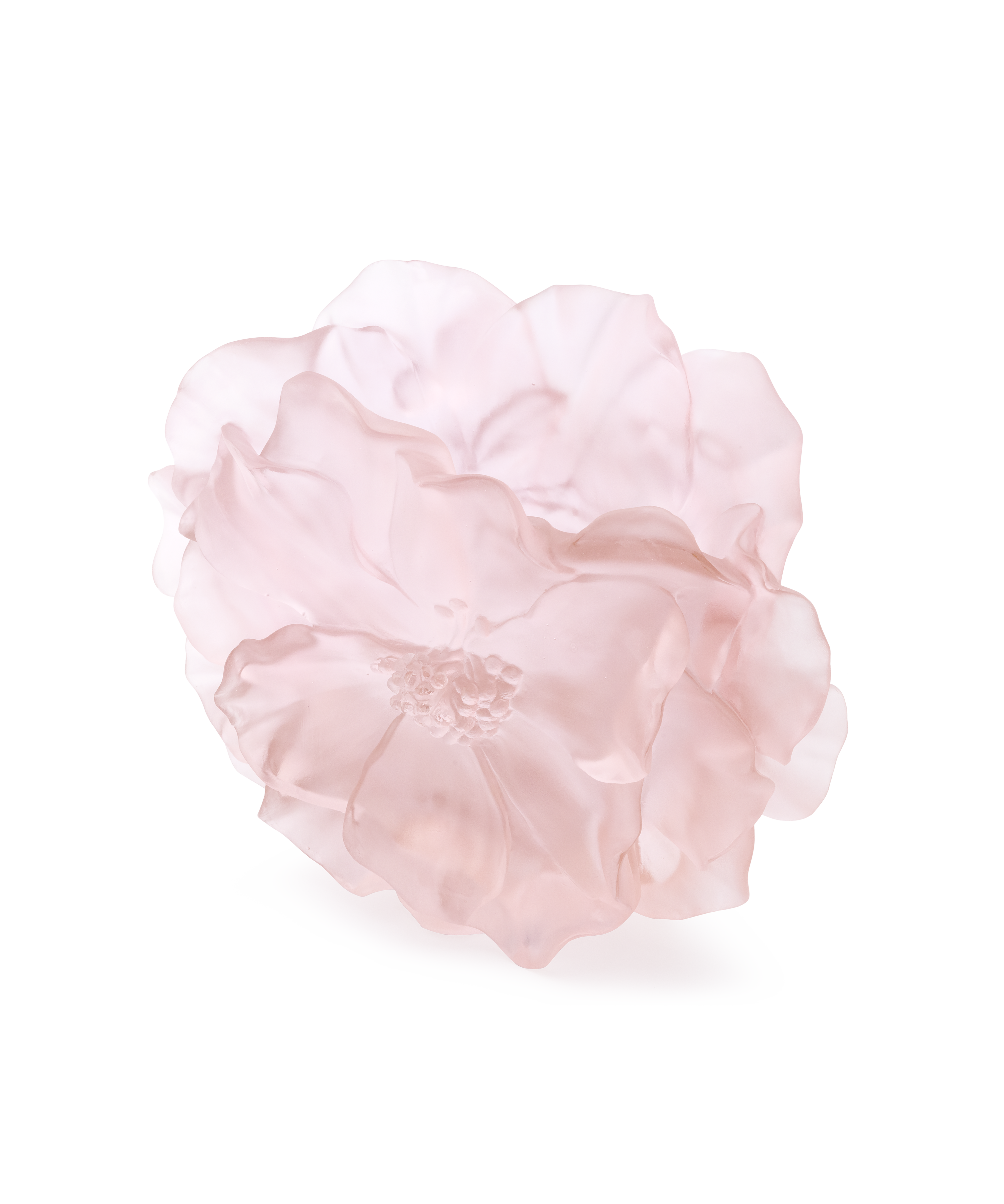 Camelia Vase grand modèle Rose - Daum