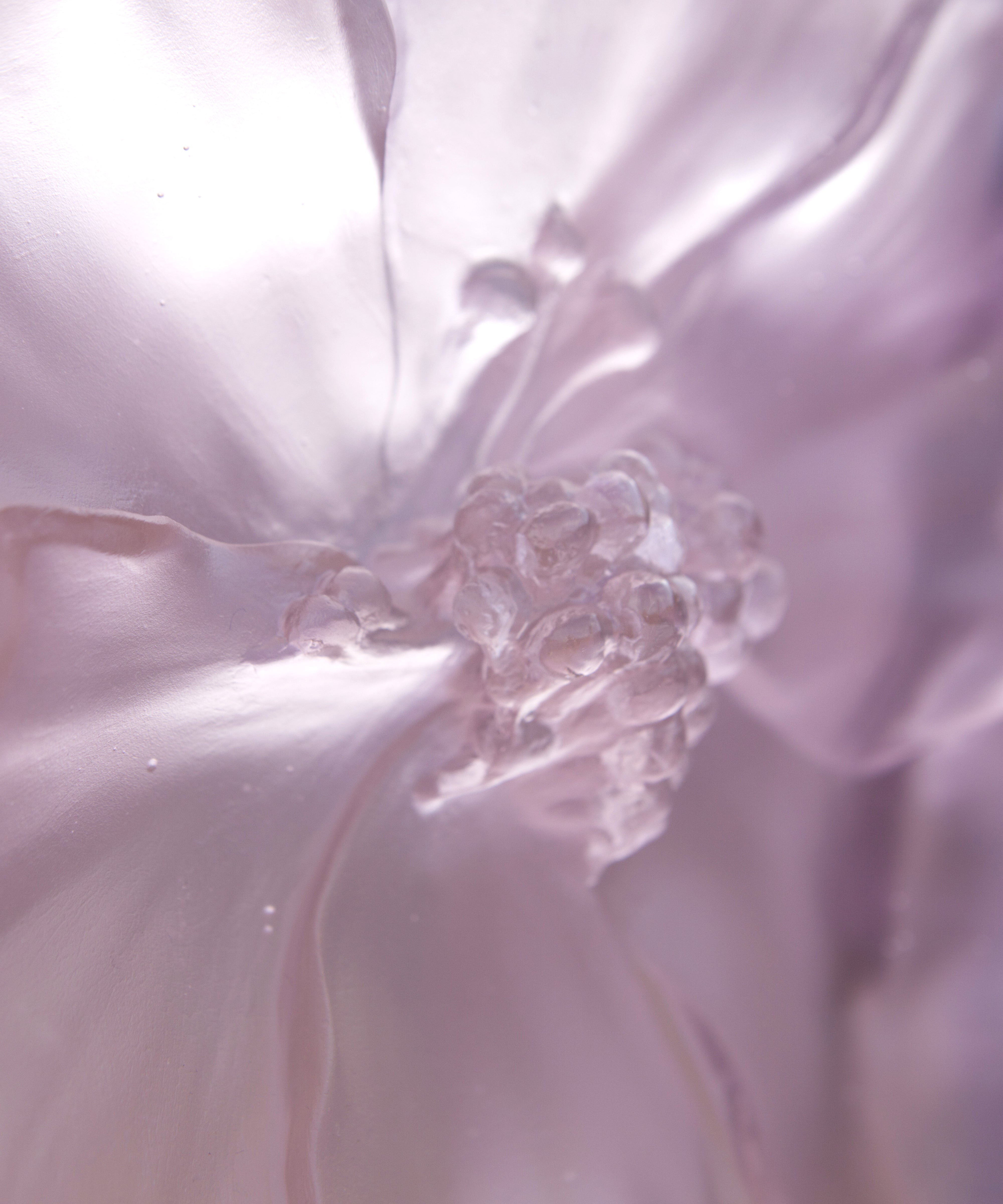 Camelia Vase grand modèle Rose - Daum