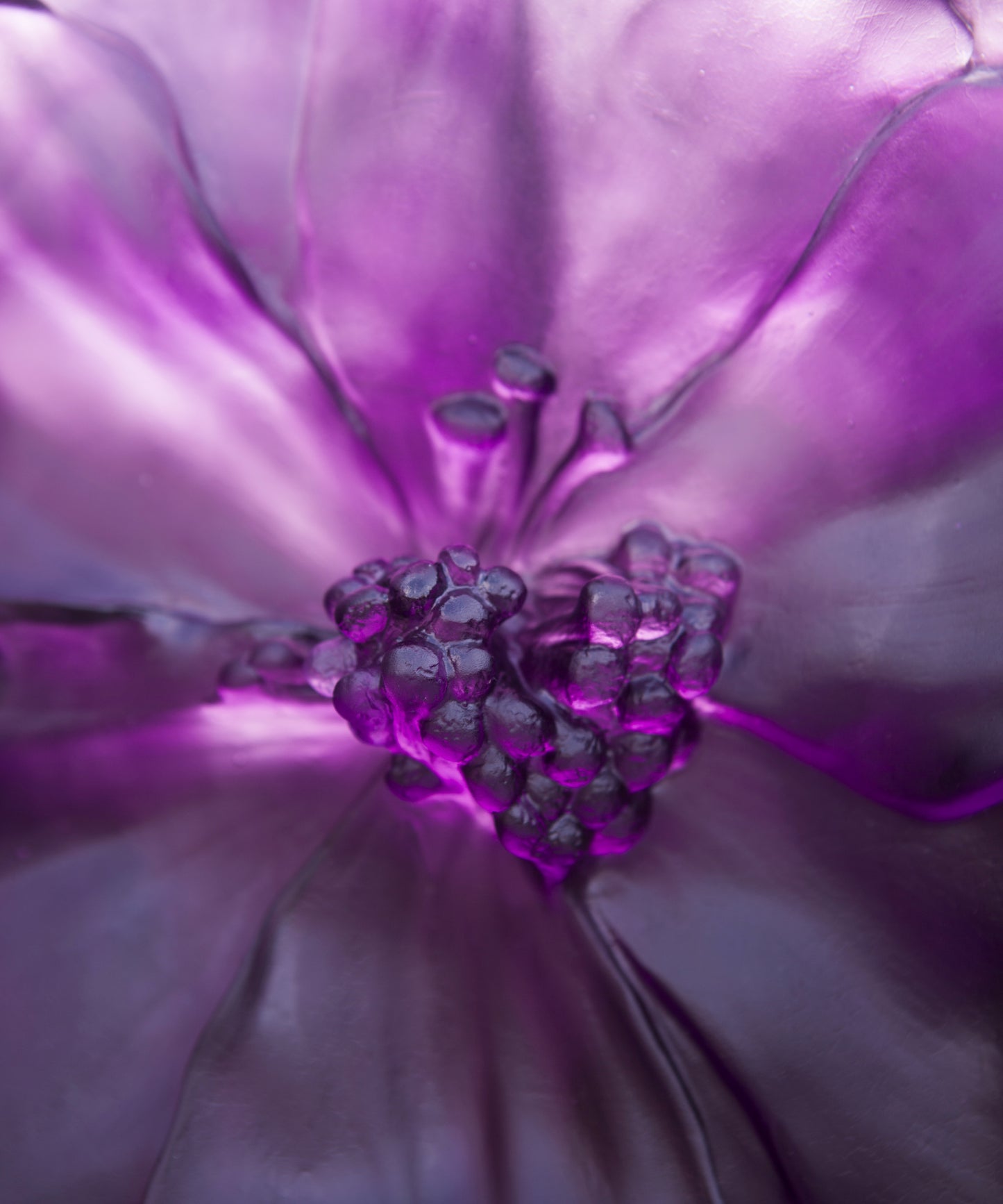 Camelia Vase grand modèle Violet - Daum