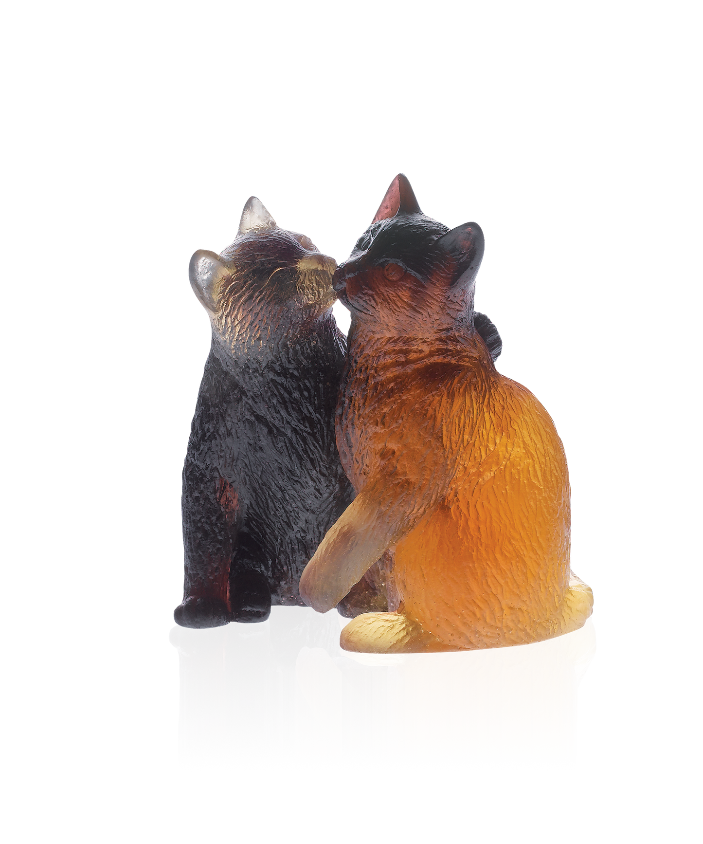 Chatons - Daum
