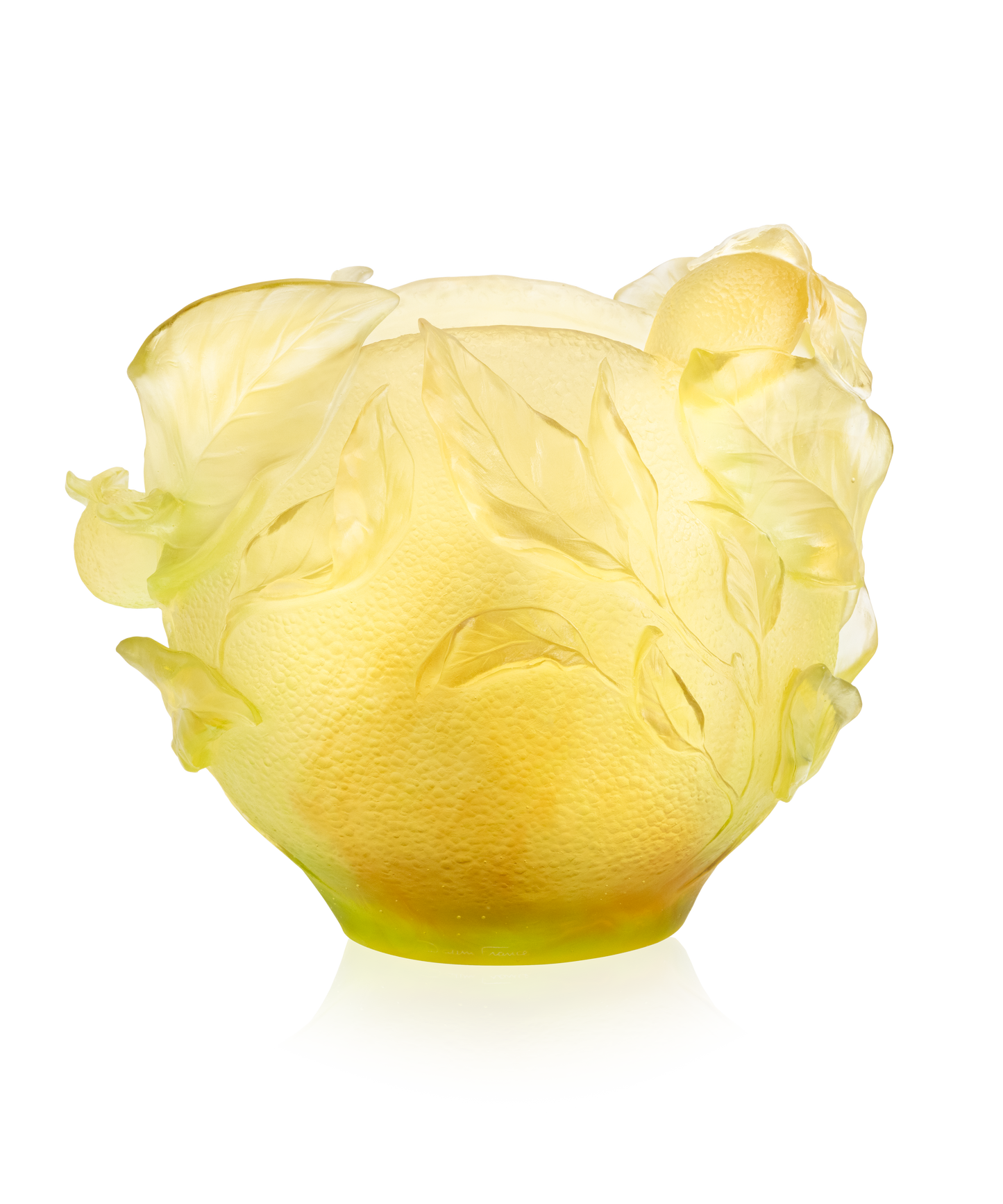 Vase Citrus grand modèle 175ex de Daum en verre coloré avec motif floral, posé sur une surface neutre.