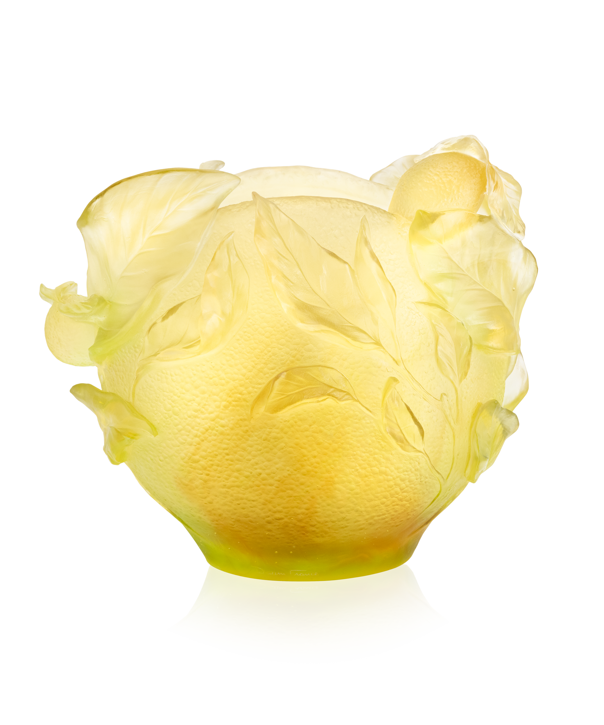 Vase Citrus grand modèle 175ex de Daum en verre coloré avec motif floral, posé sur une surface neutre.