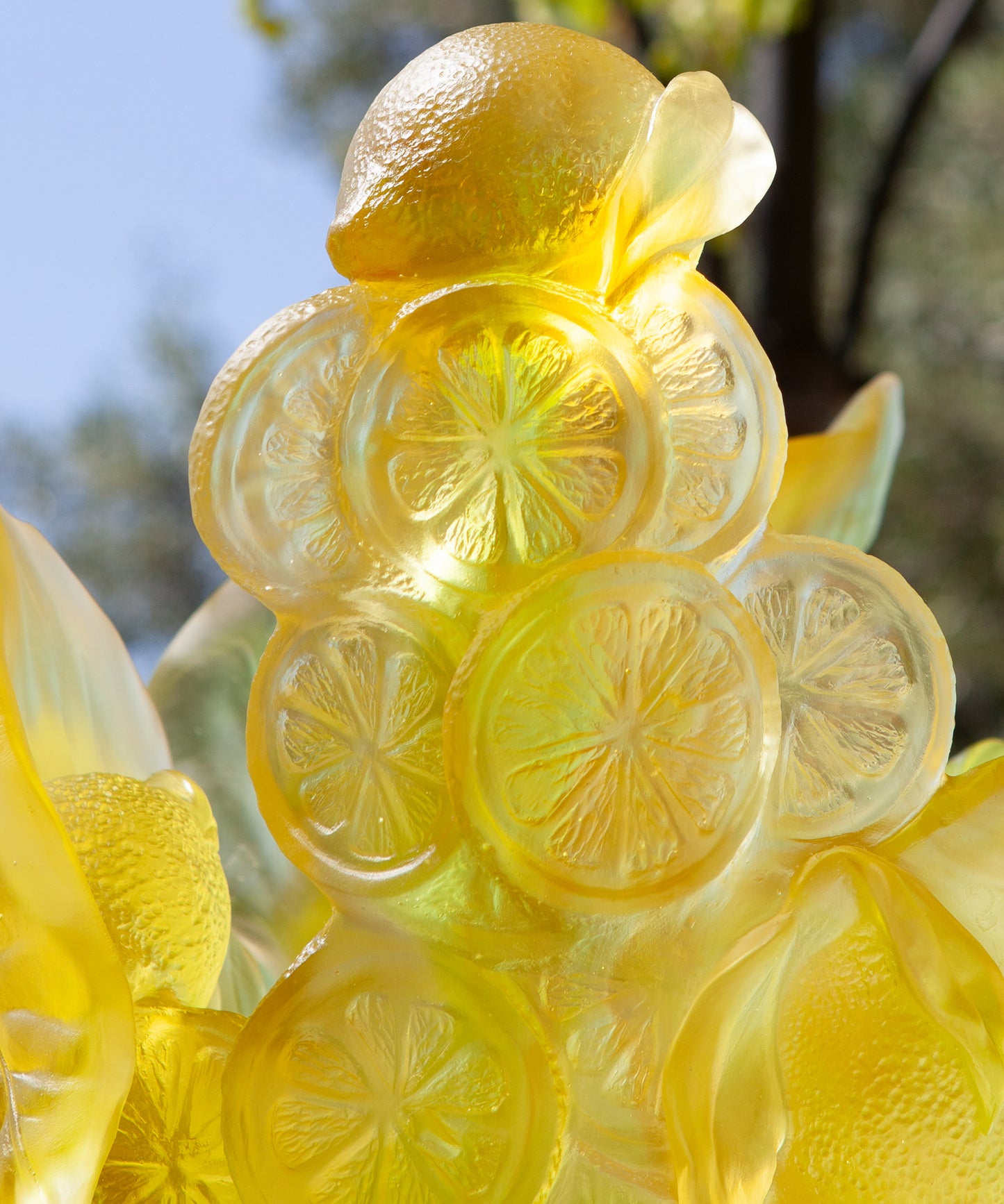 Vase Citrus Magnum 99ex de Daum en verre coloré avec motif citron décoratif, posé sur une surface claire.