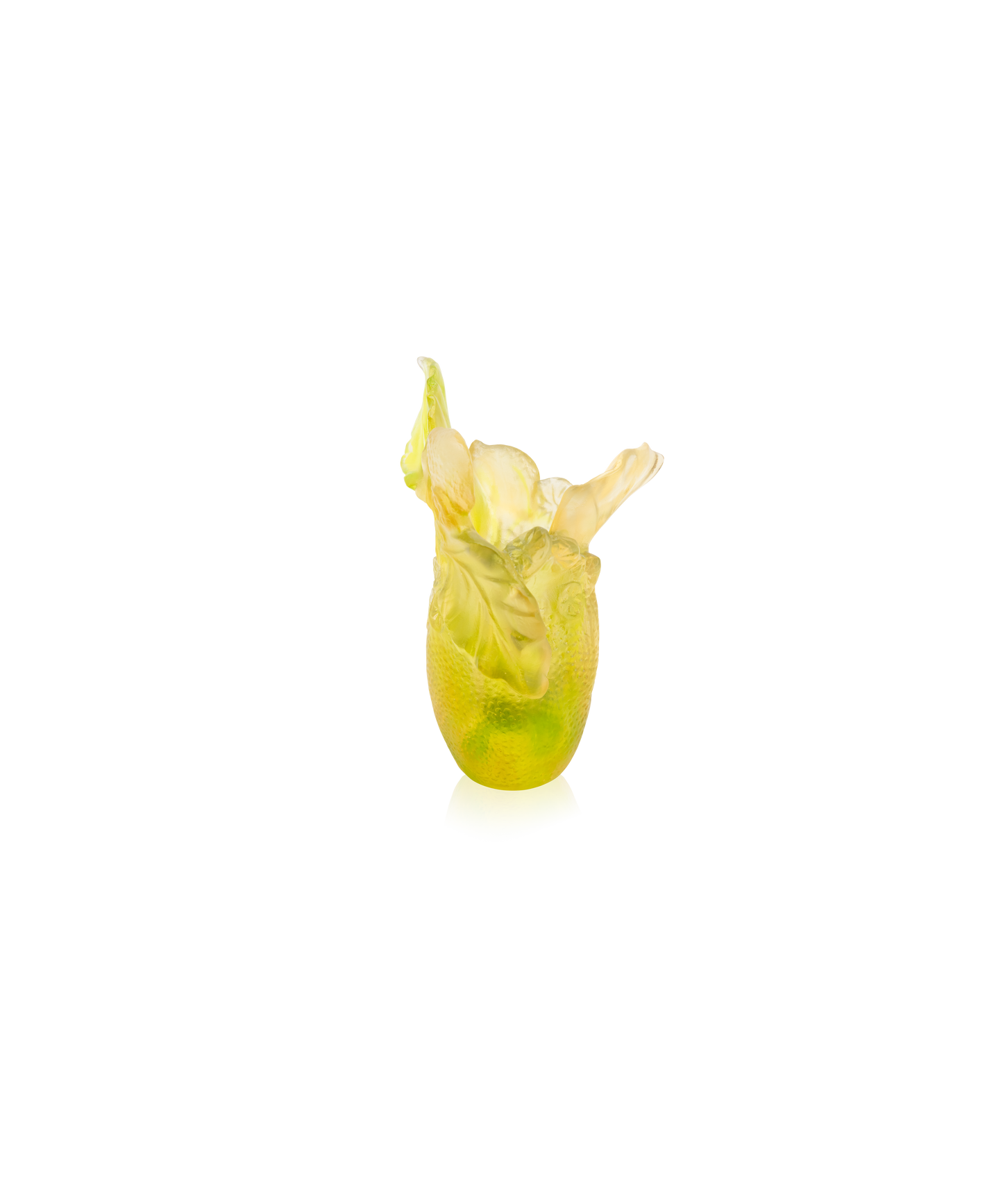 Vase petit modèle Citrus de la marque Daum, en verre coloré avec motif citrus, posé sur une surface neutre.