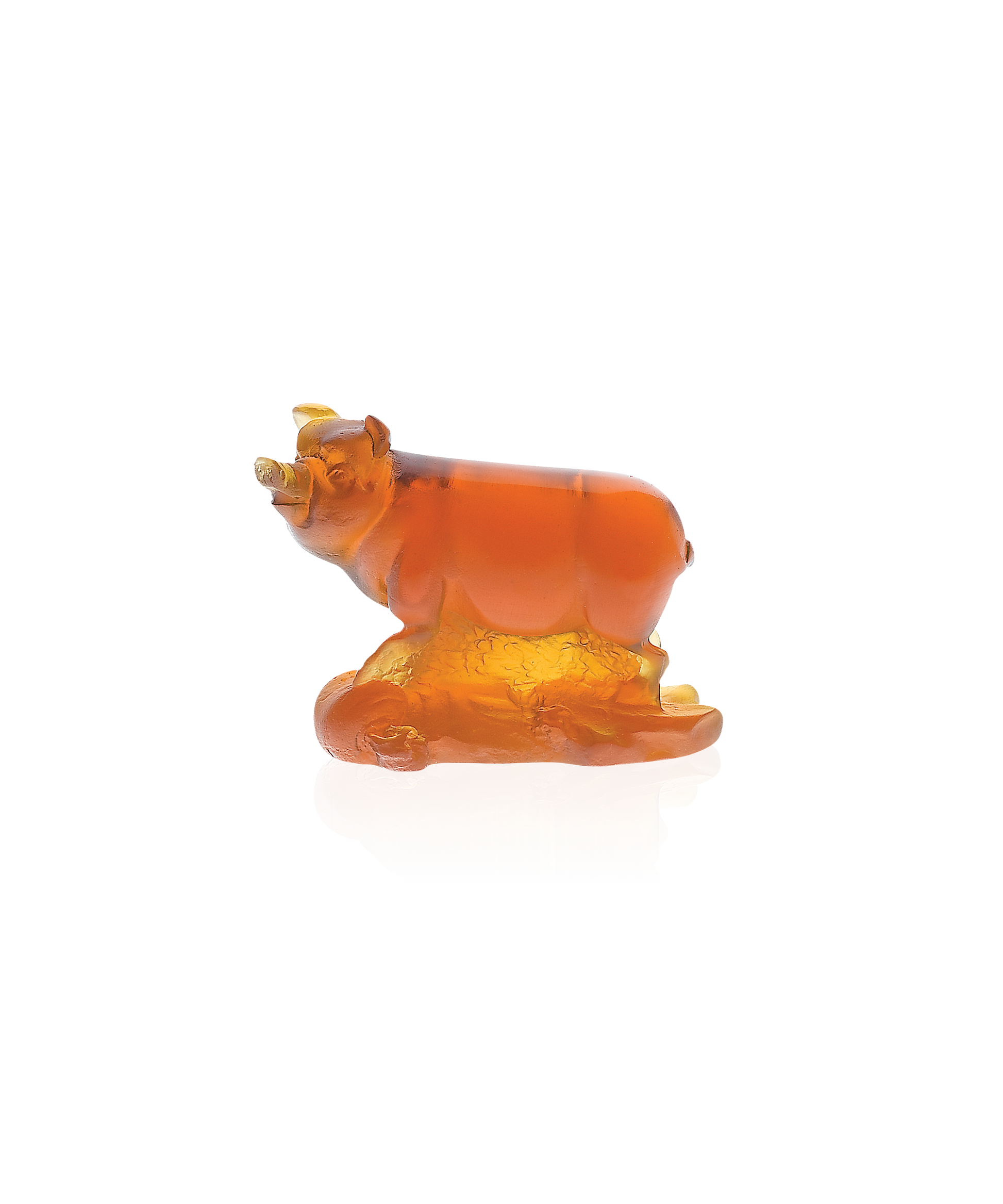 Cochon horoscope - Daum