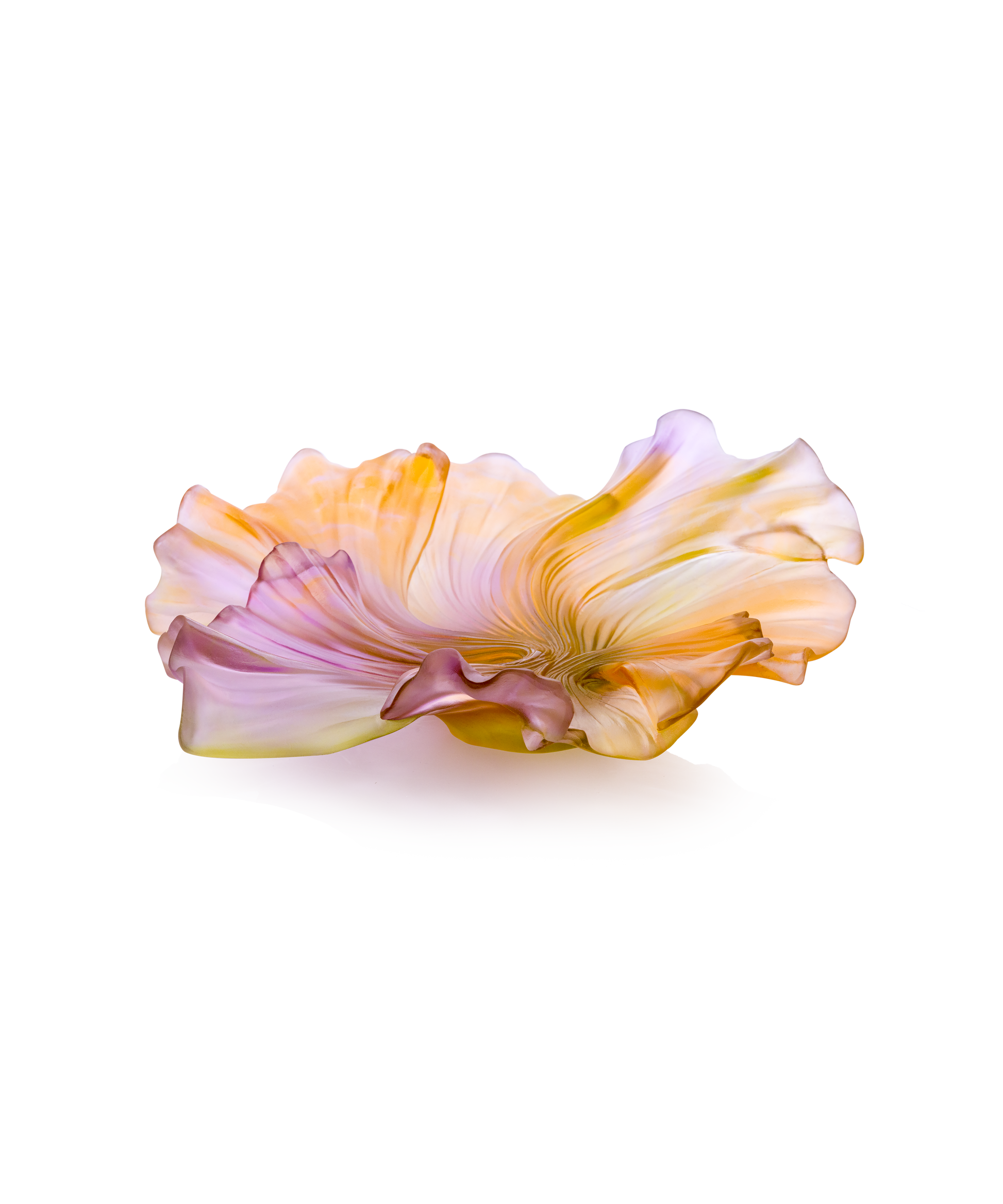 Collection Croisière Coupe moyen modèle Rose et vert - Daum