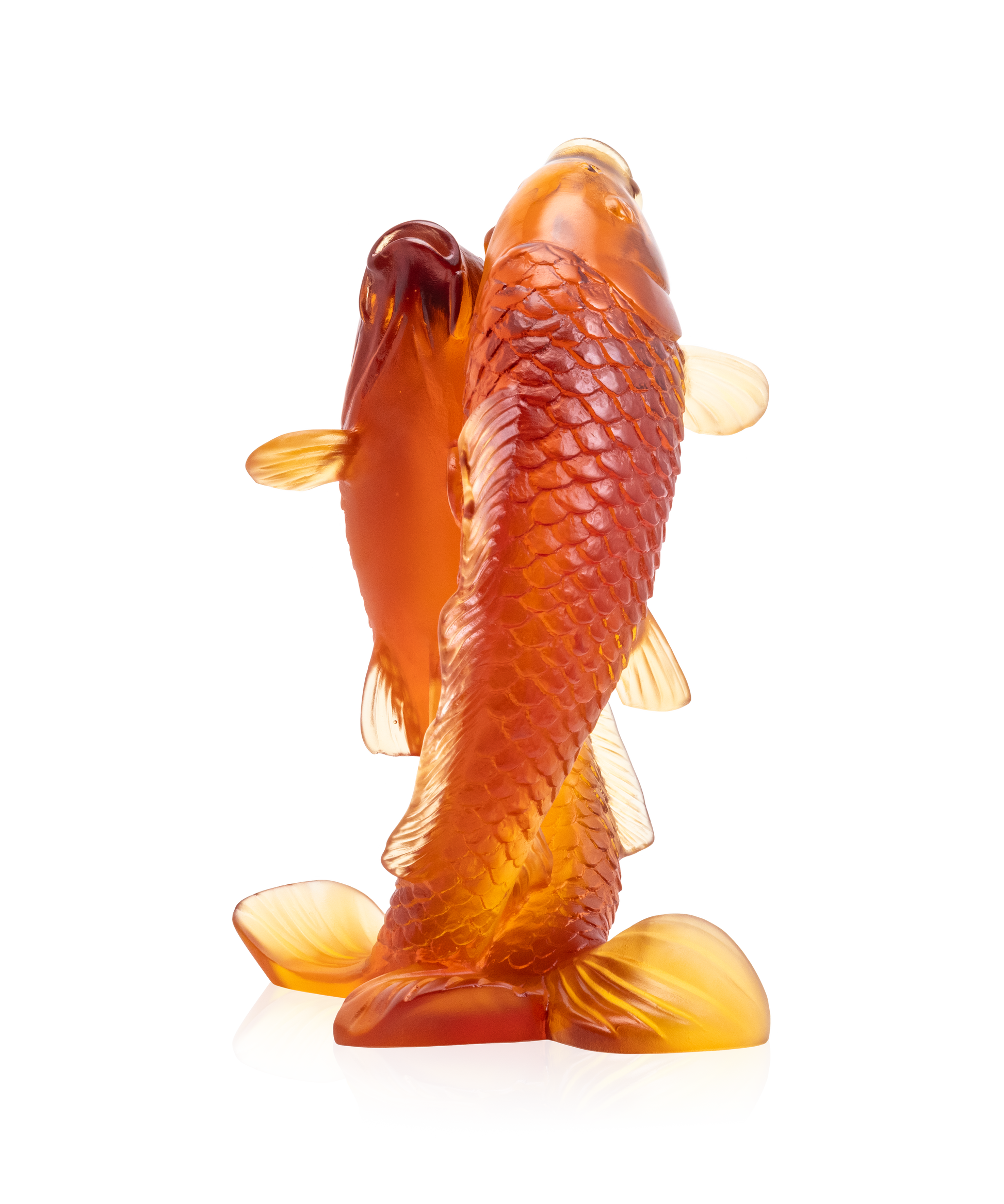 Couple de carpes 800ex - Daum