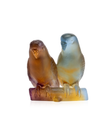 Couple de perruches Ambre - Daum