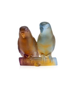 Deux perruches en ambre de la marque Daum, sculptées en verre, posées côte à côte.