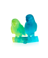 Couple de perruches Bleu - Daum