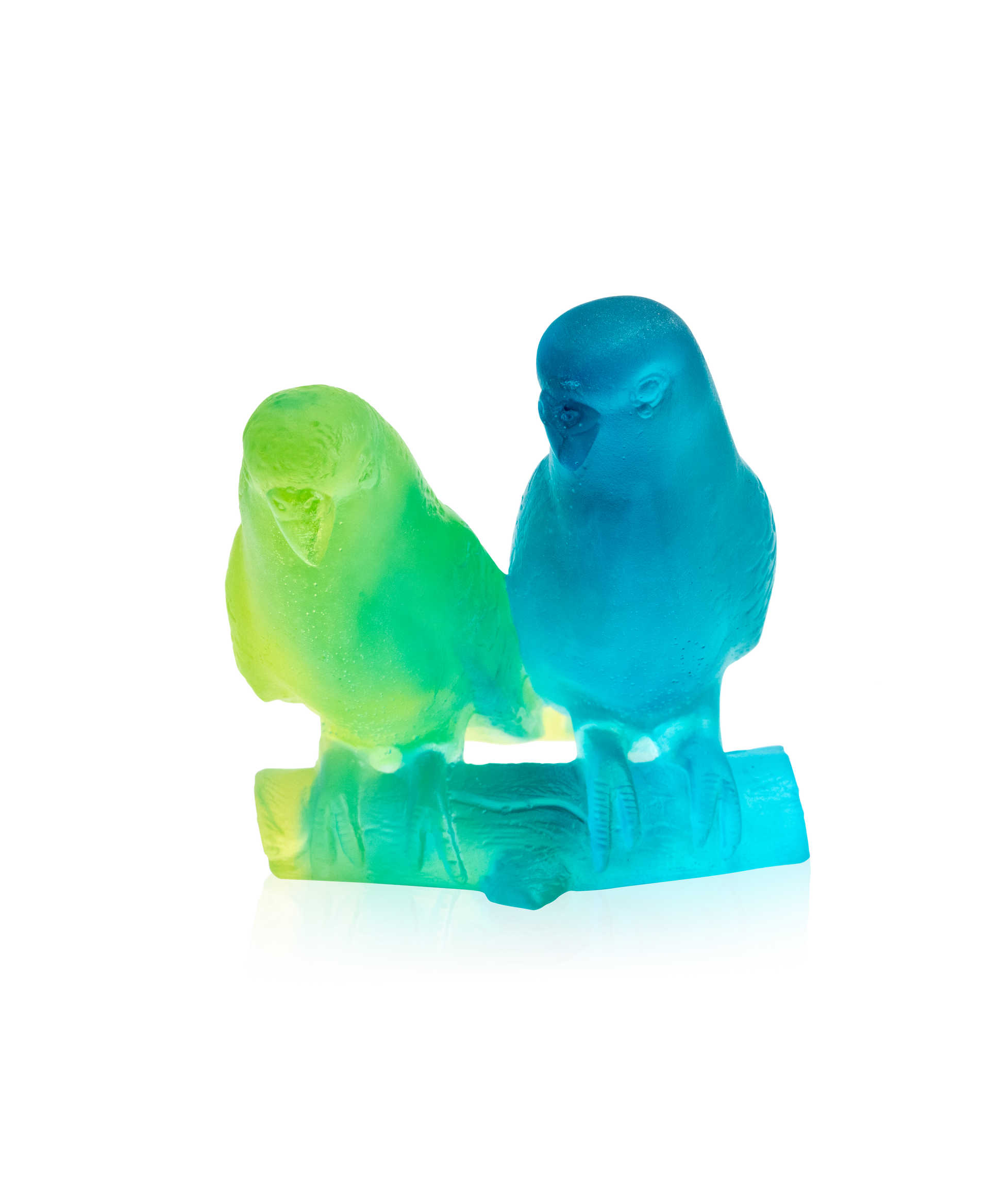 Couple de perruches Bleu - Daum