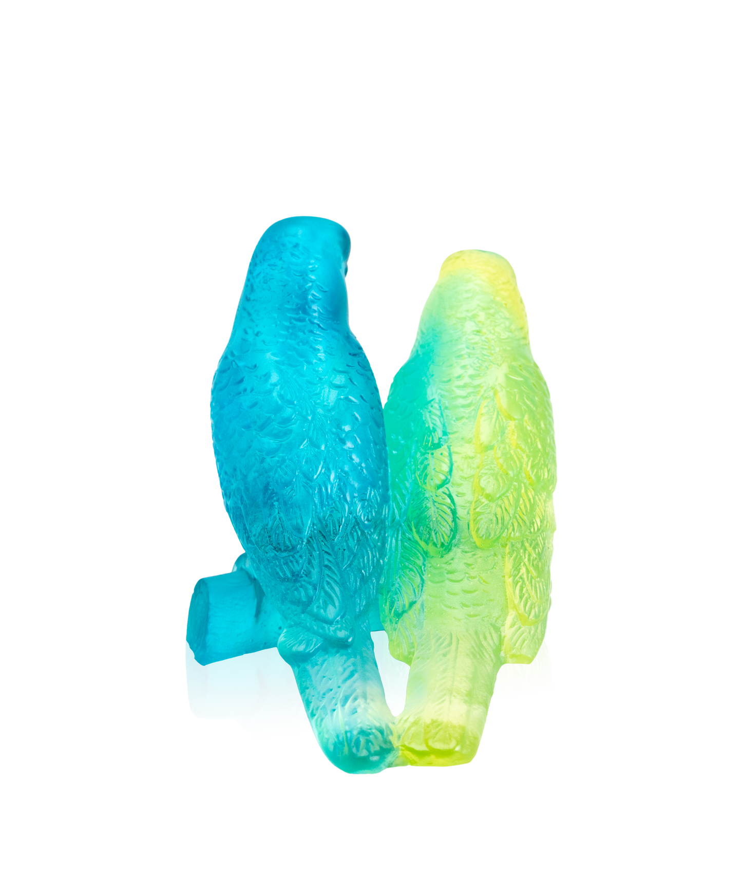 Couple de perruches Bleu - Daum