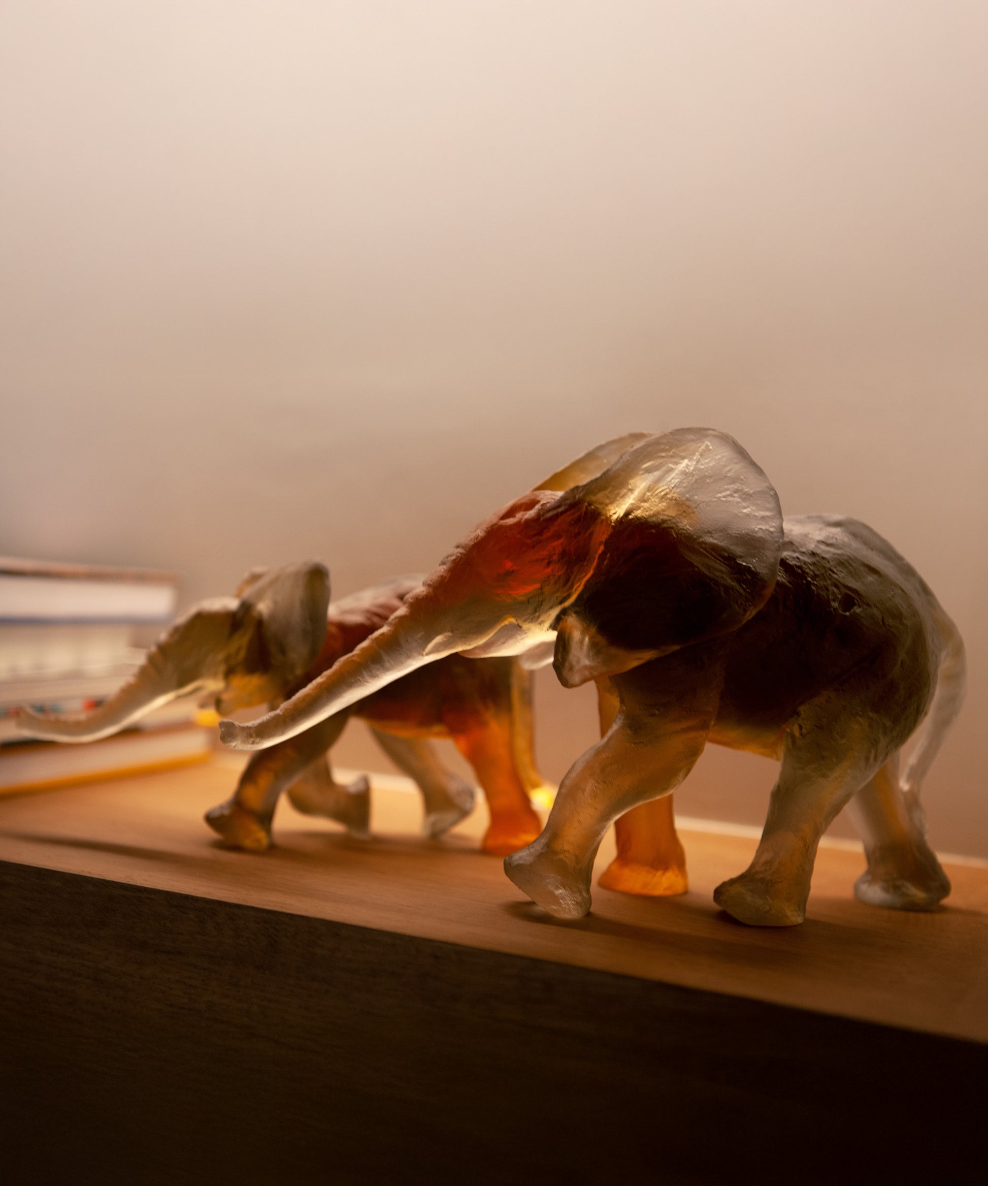 Éléphant Savana moyen modèle de Daum, sculpture en verre par Isabelle Carabantes, détails artistiques et finition élégante.