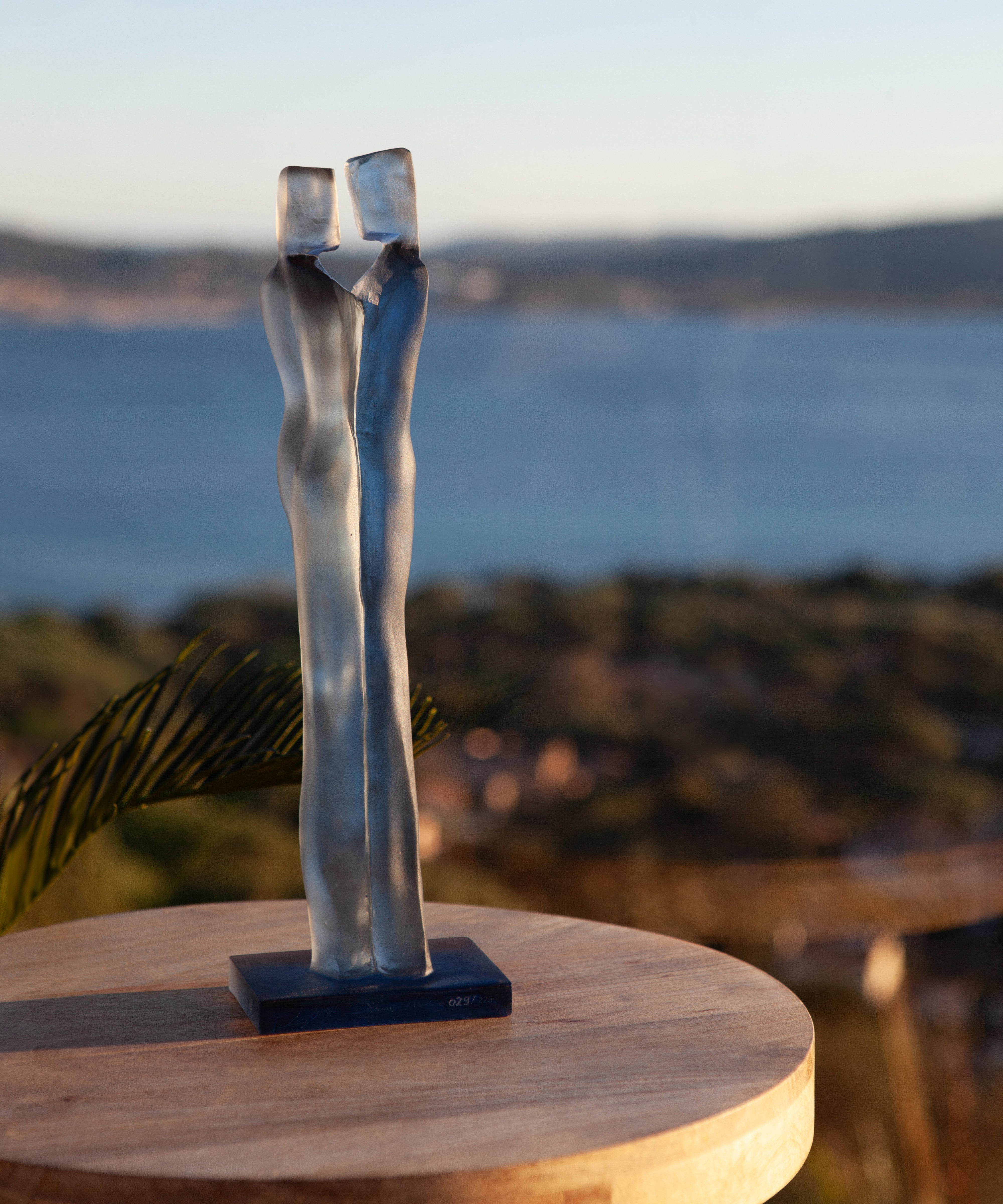 Evidence de Laurence Bonnel 225ex - Daum