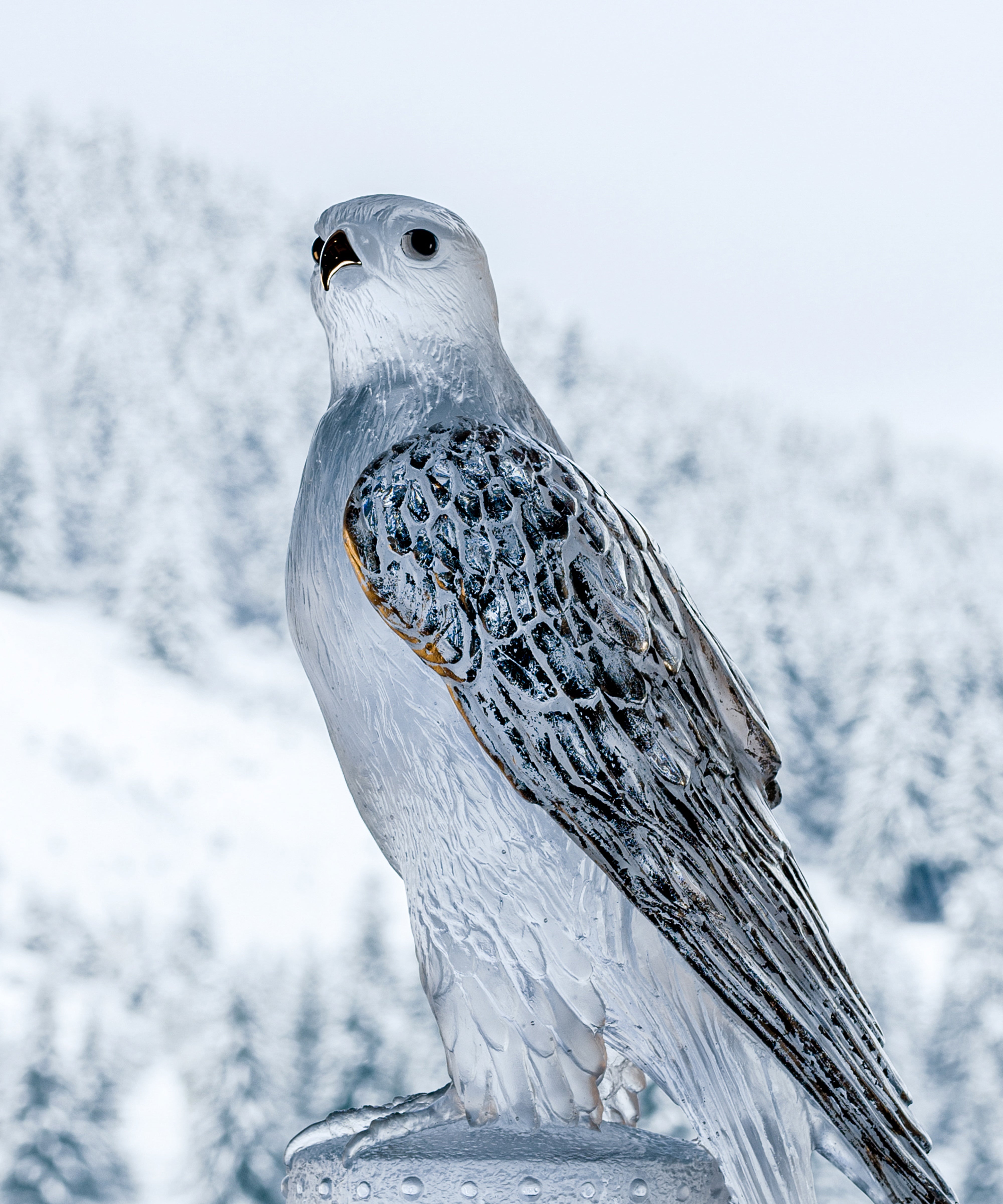 Faucon Gerfaut Blanc de Madeleine Van der Knoop 50ex - Daum