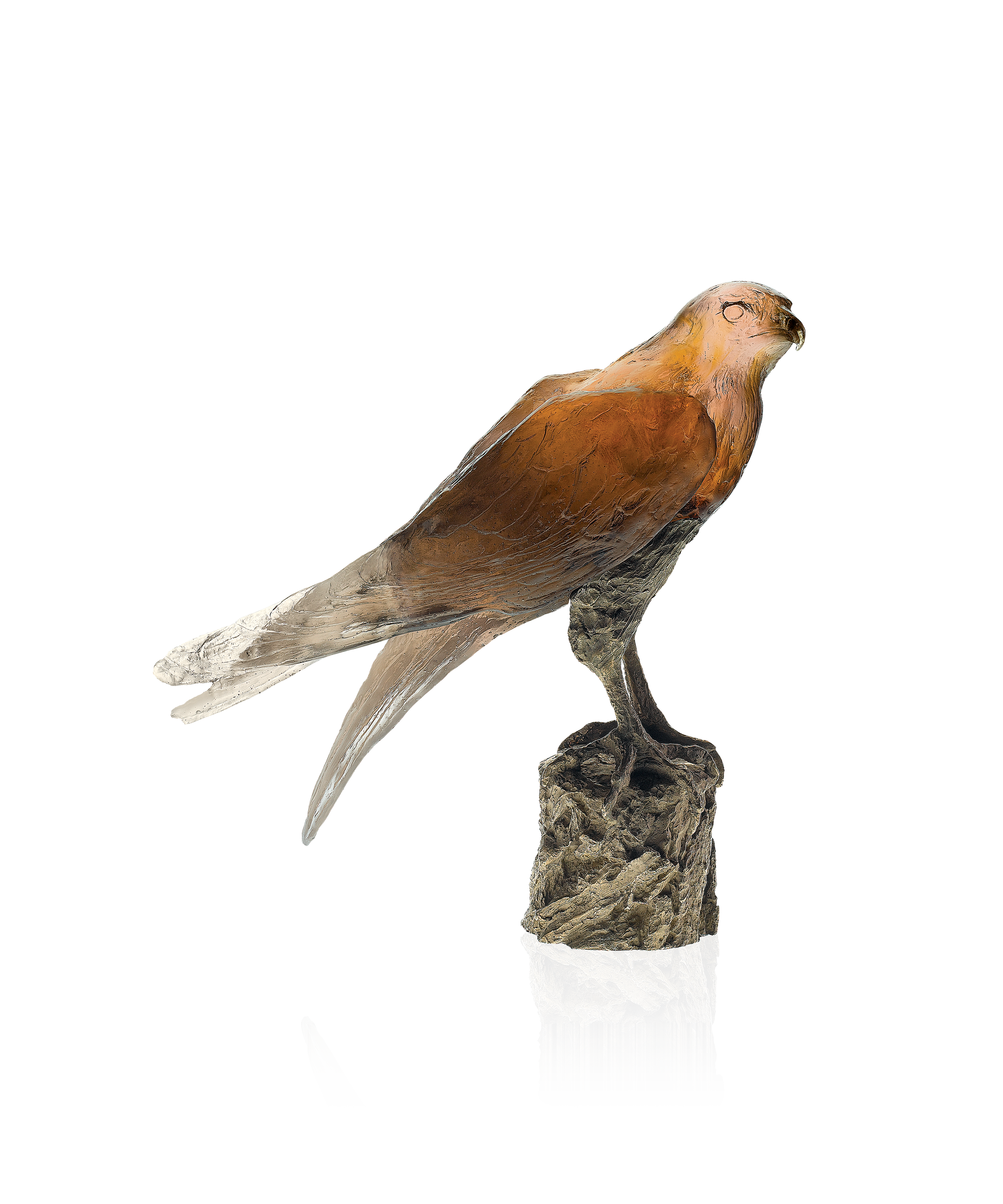 Faucon Saker de Madeleine Van der Knoop 375ex - Daum