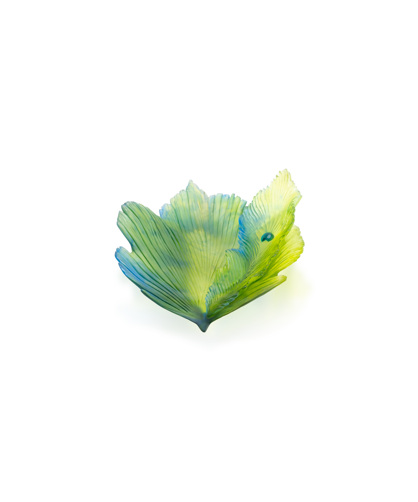 Vase moyen en verre de la Fleur de Paon Exotique de Daum, avec motif coloré et forme élégante.
