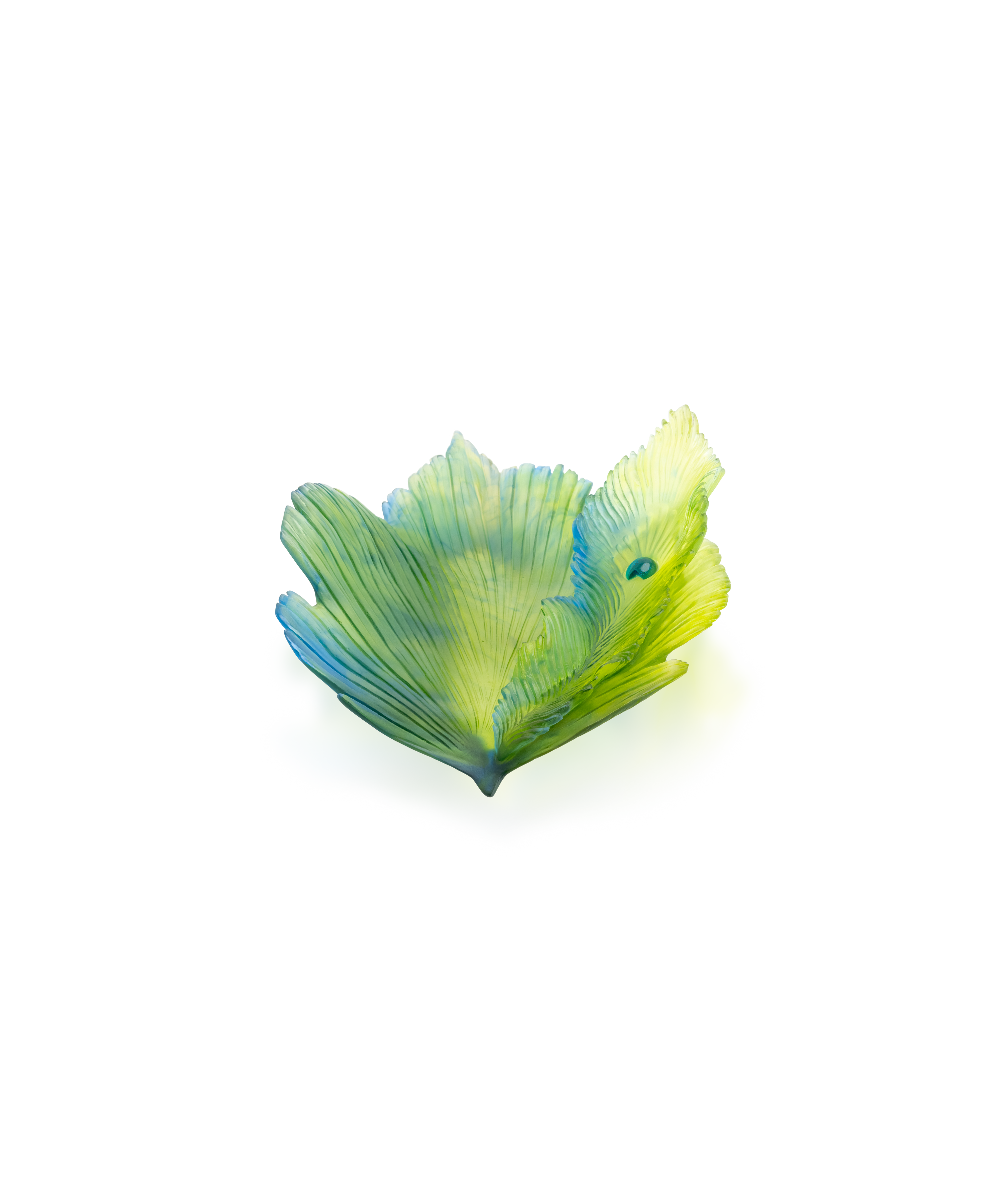 Vase moyen en verre de la Fleur de Paon Exotique de Daum, avec motif coloré et forme élégante.