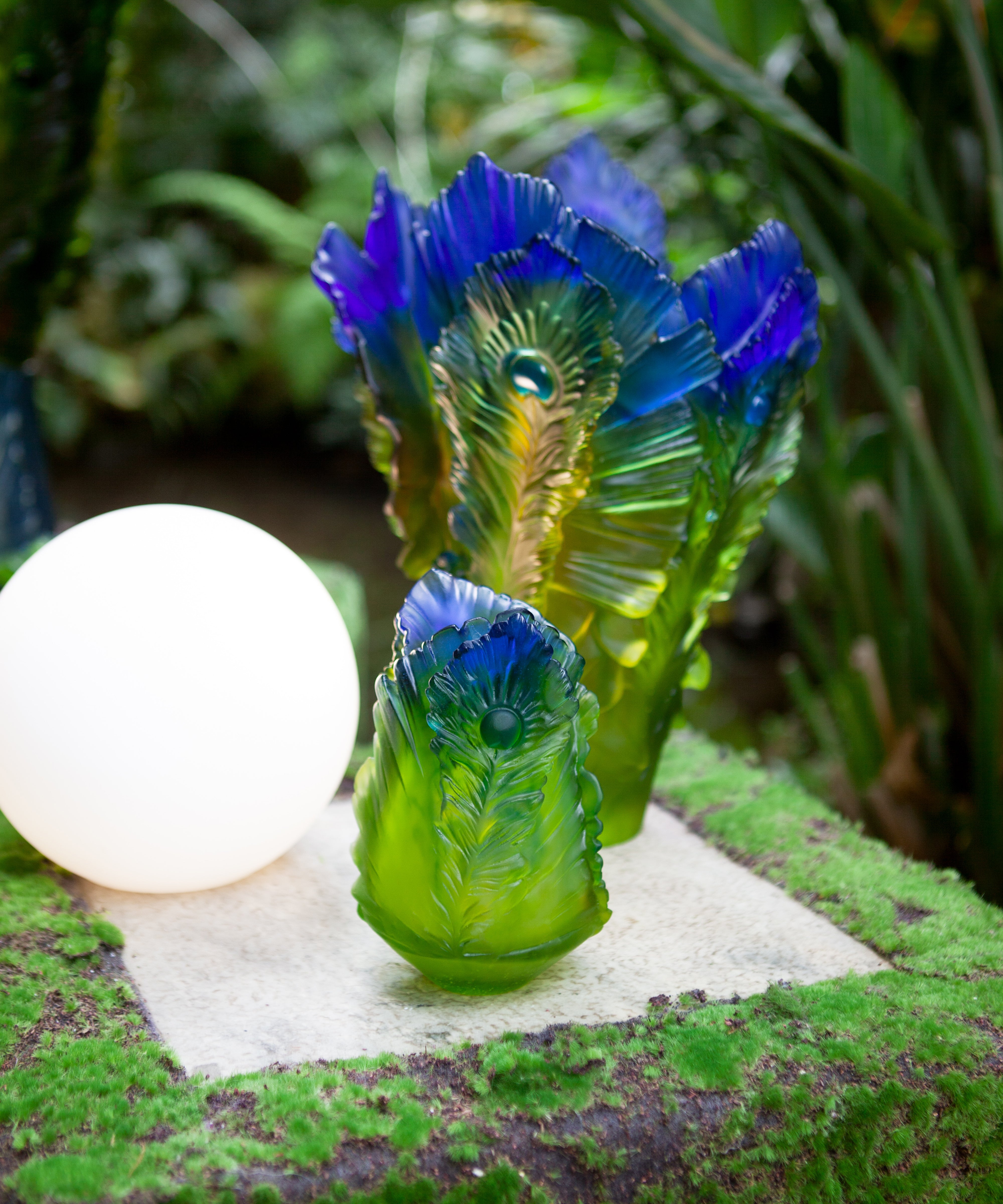 Fleur de paon exotique – Élégance et beauté rare | Daum
