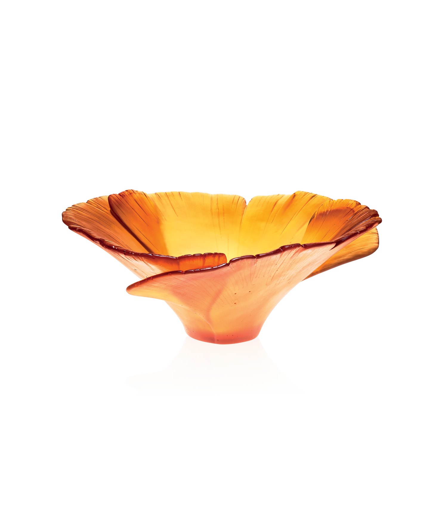Ginkgo Coupe haute Ambre - Daum