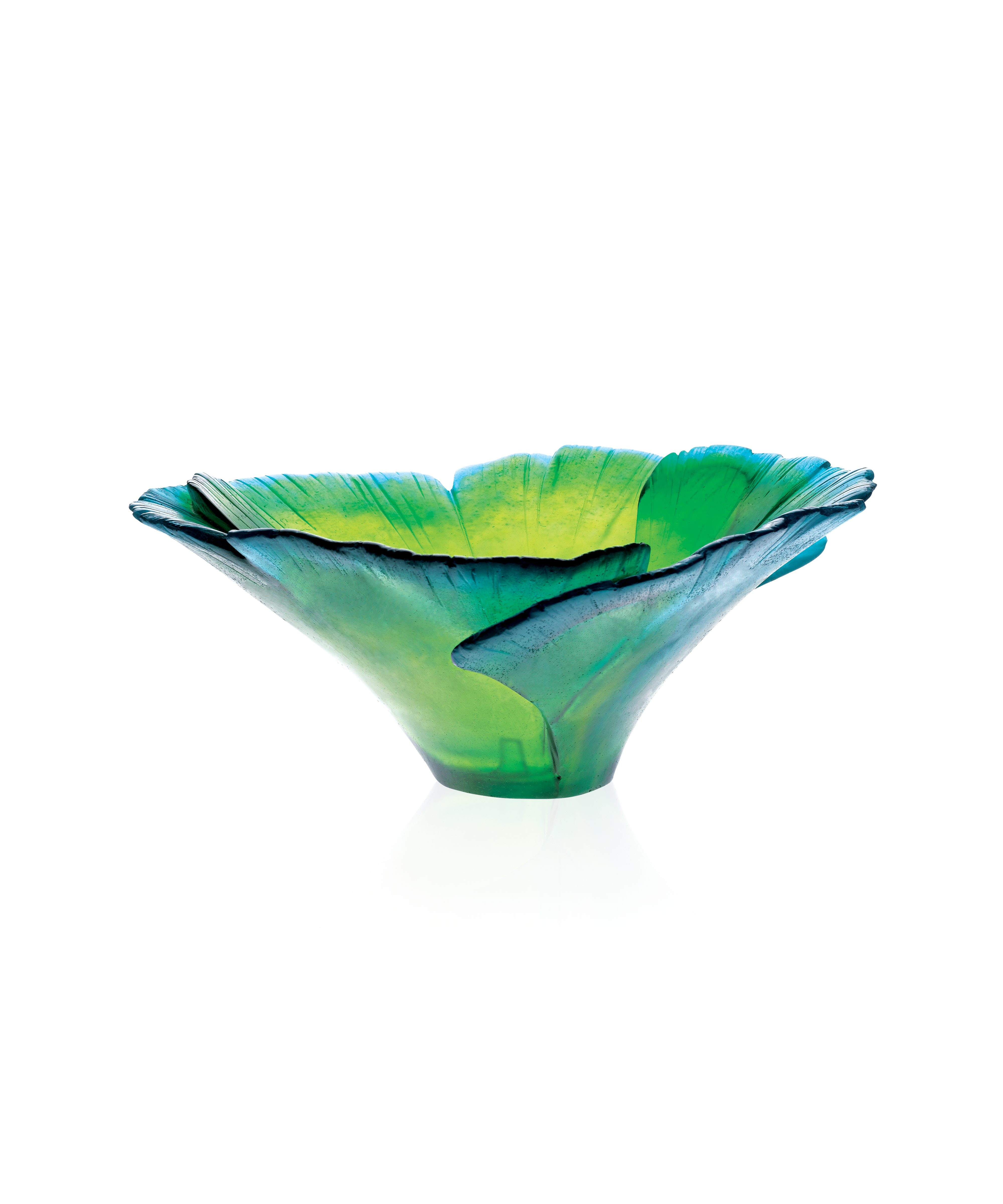 Ginkgo Coupe Haute Verte - Daum