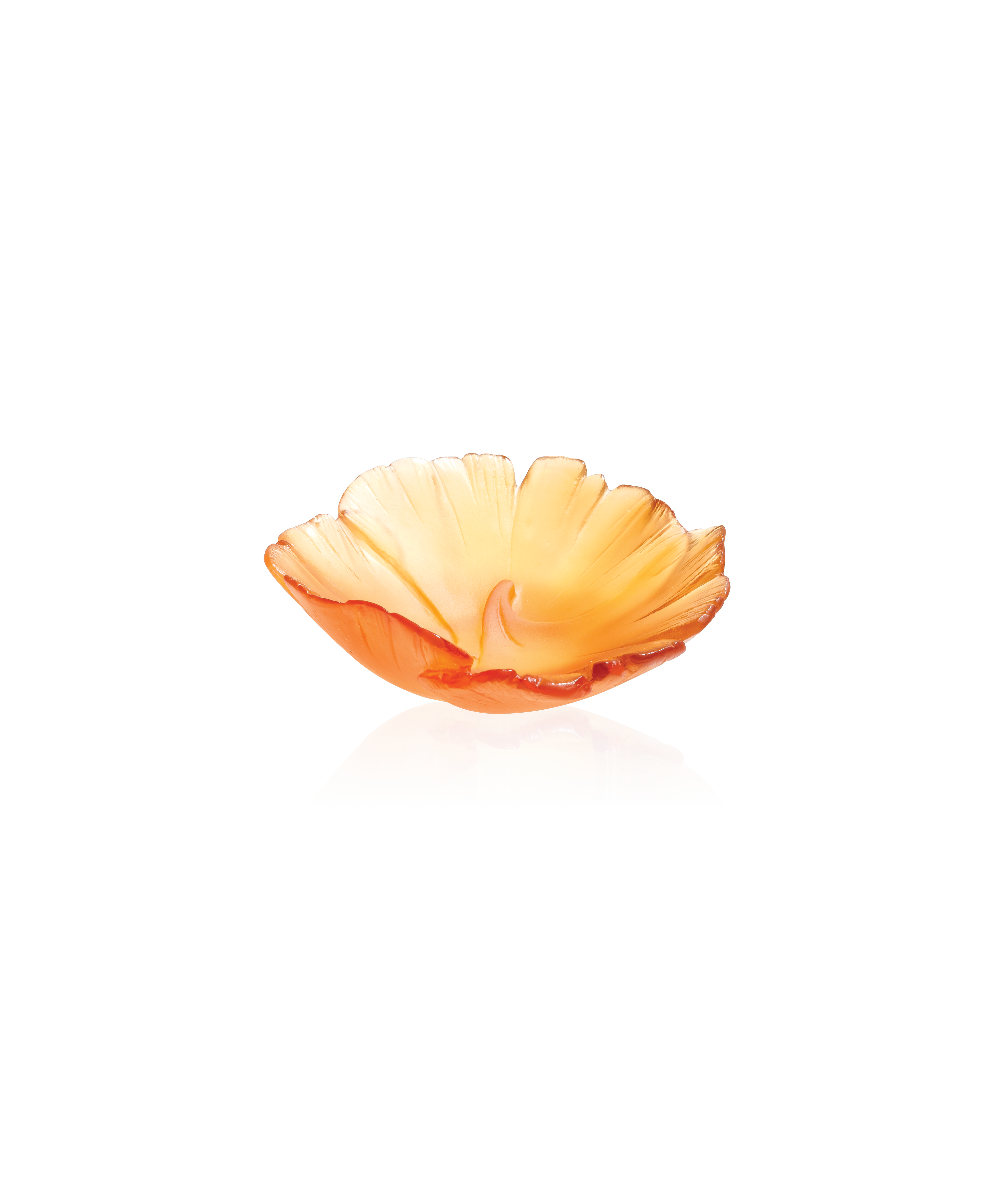 Ginkgo Coupelle Ambre - Daum