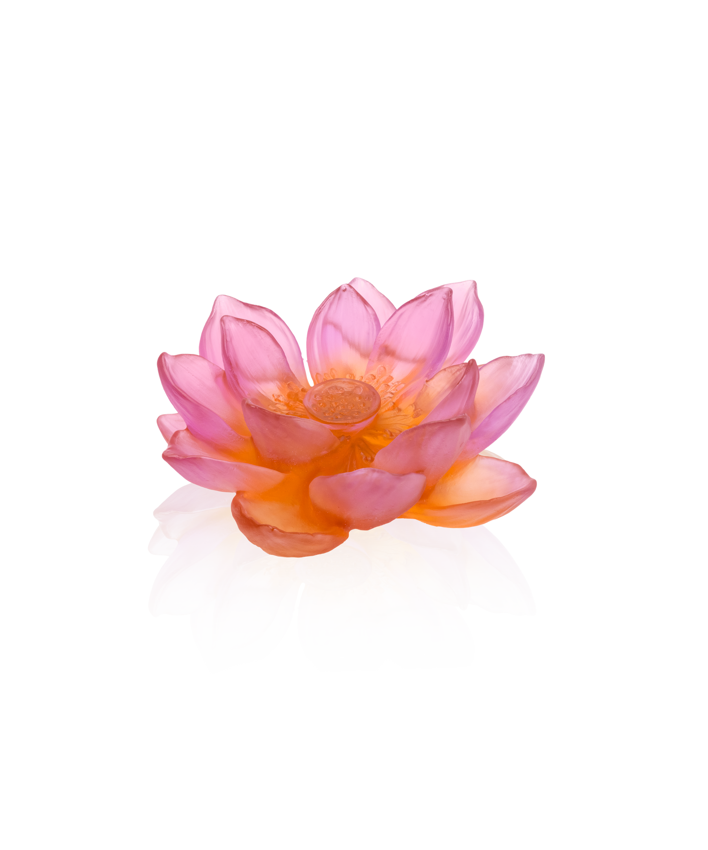 Vase décoratif Jardin de Lotus Fleur Ambre-Rose de la marque Daum, avec motif floral en verre translucide.