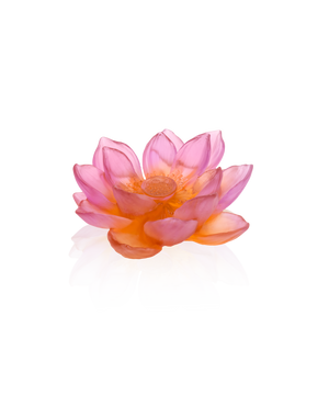 Jardin de Lotus Fleur décorative Ambre-Rose de la marque Daum, vase en verre avec motif floral élégant.
