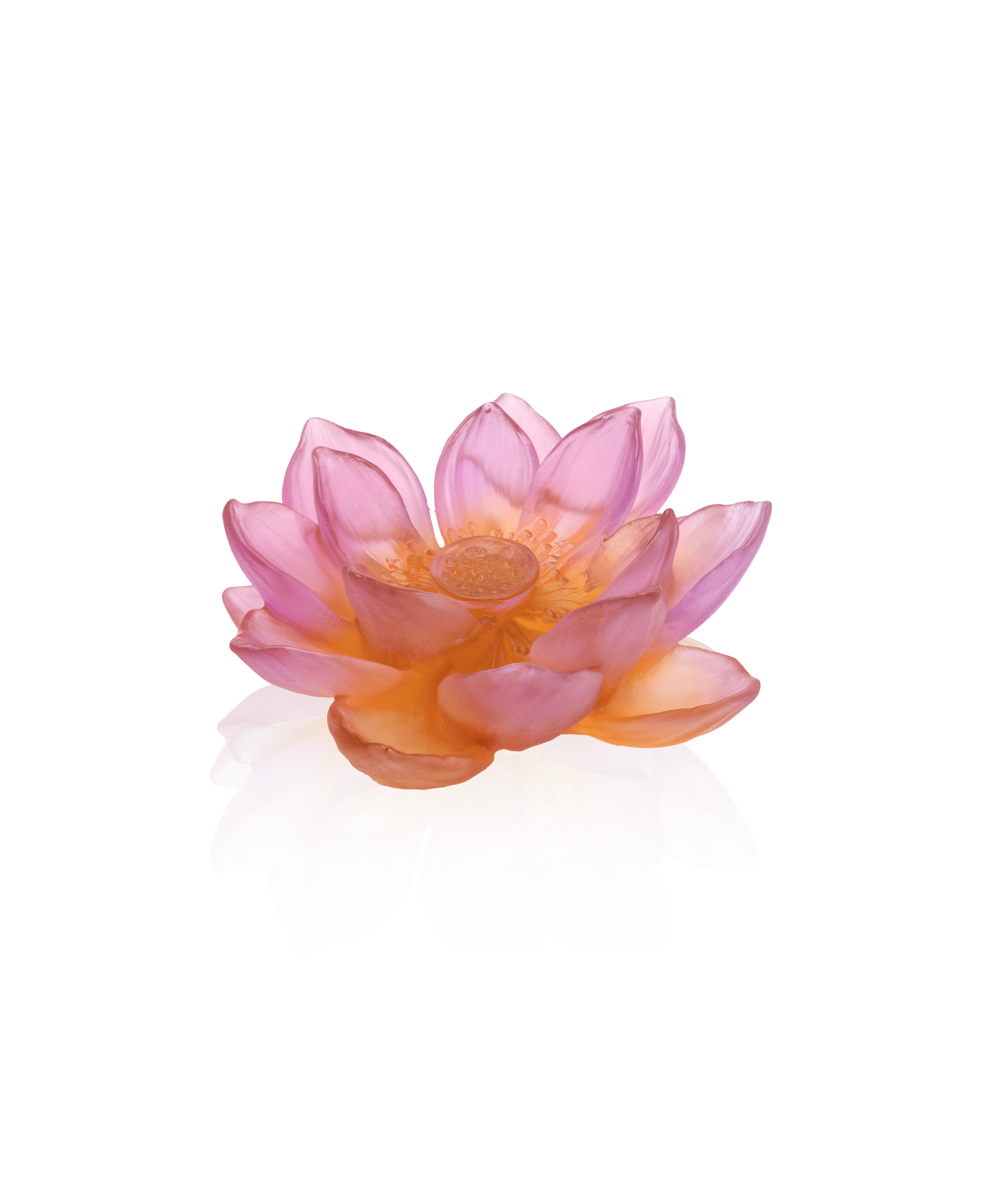 Jardin de Lotus Fleur décorative Ambre-rose - Daum