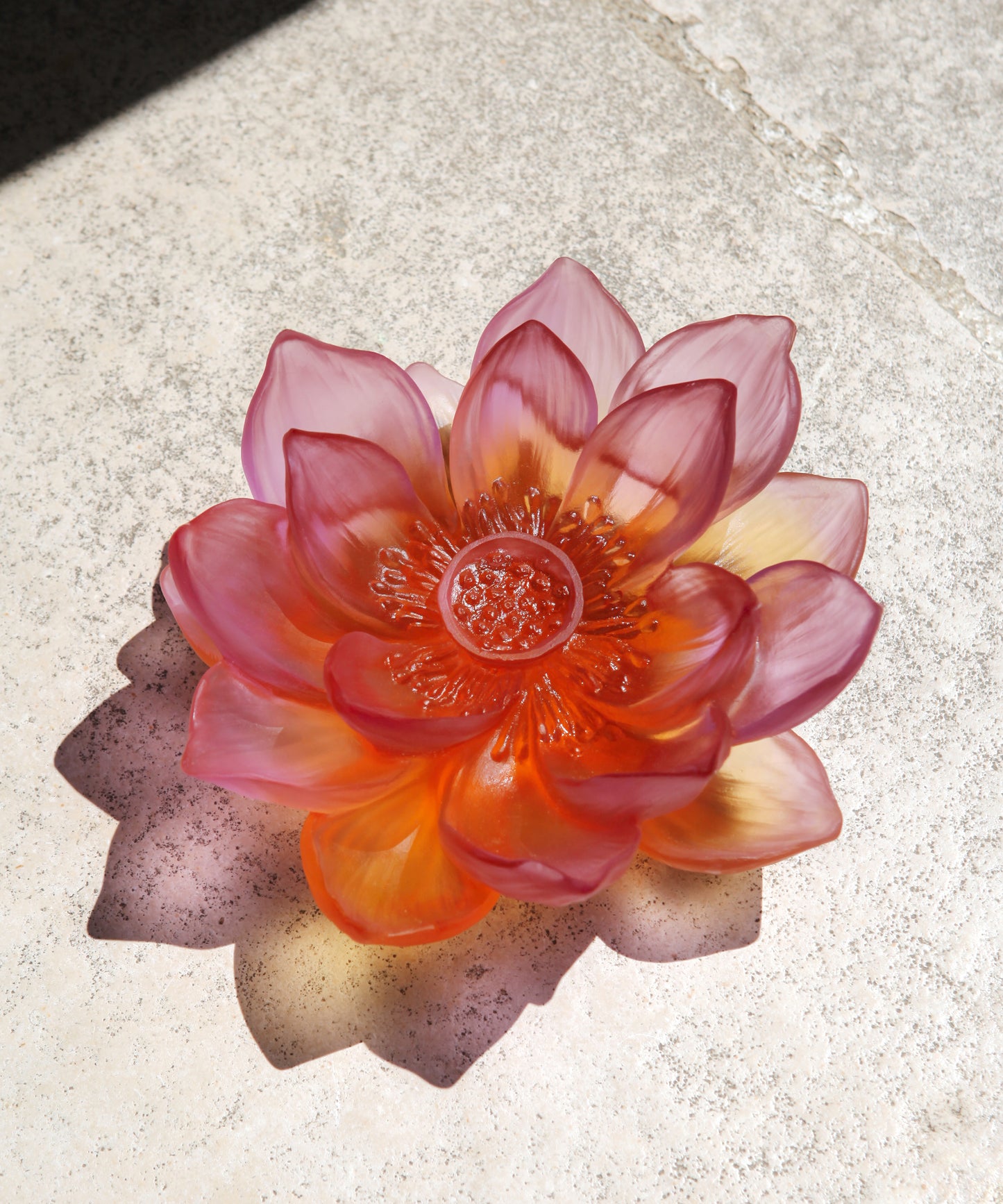 Jardin de Lotus Fleur décorative Ambre-Rose de la marque Daum, sculpture en verre artistique avec lotus et fleurs.