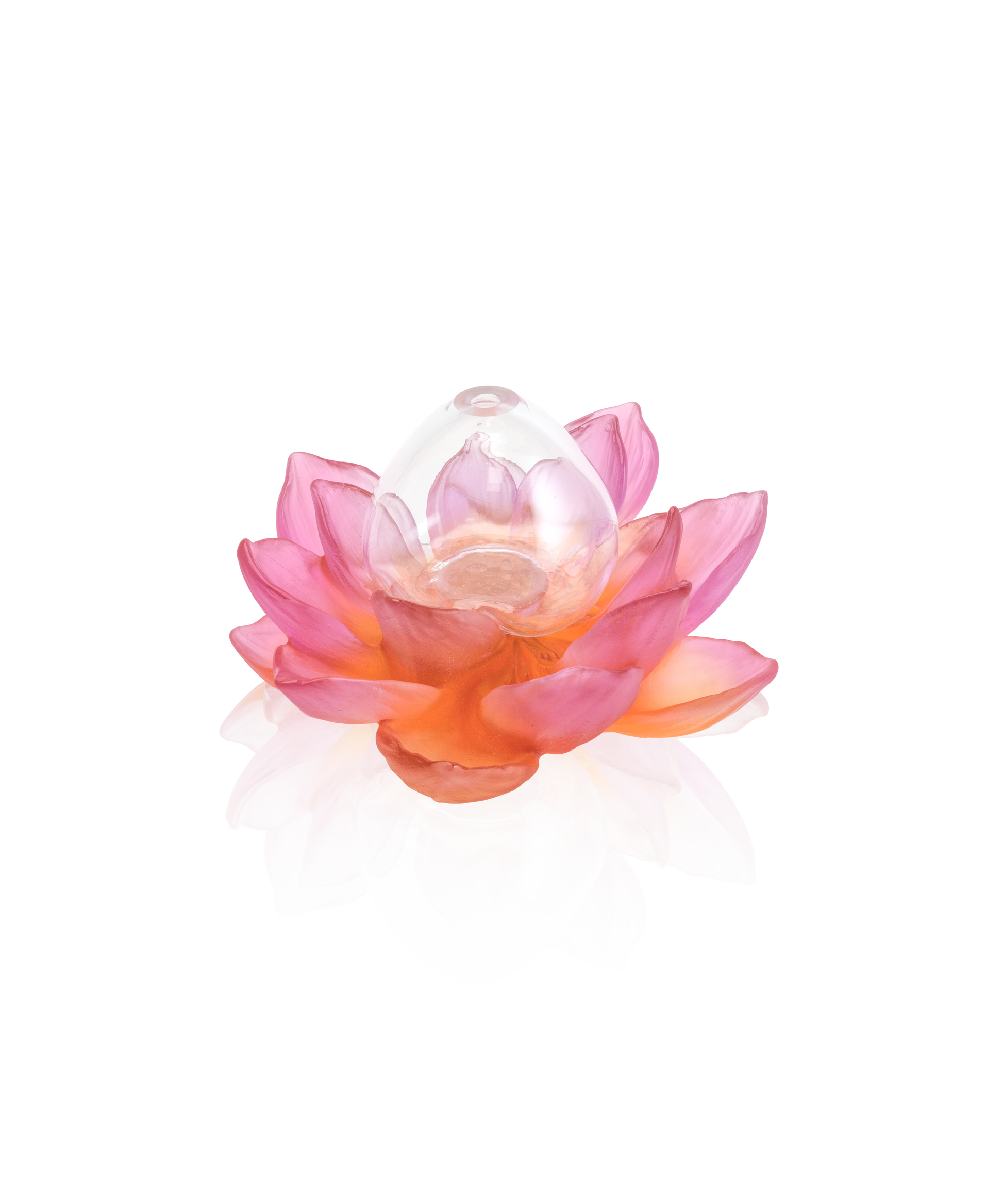 Vase jardin de lotus soliflore en verre Daum avec motif ambre-rose, élégant et décoratif pour la maison.