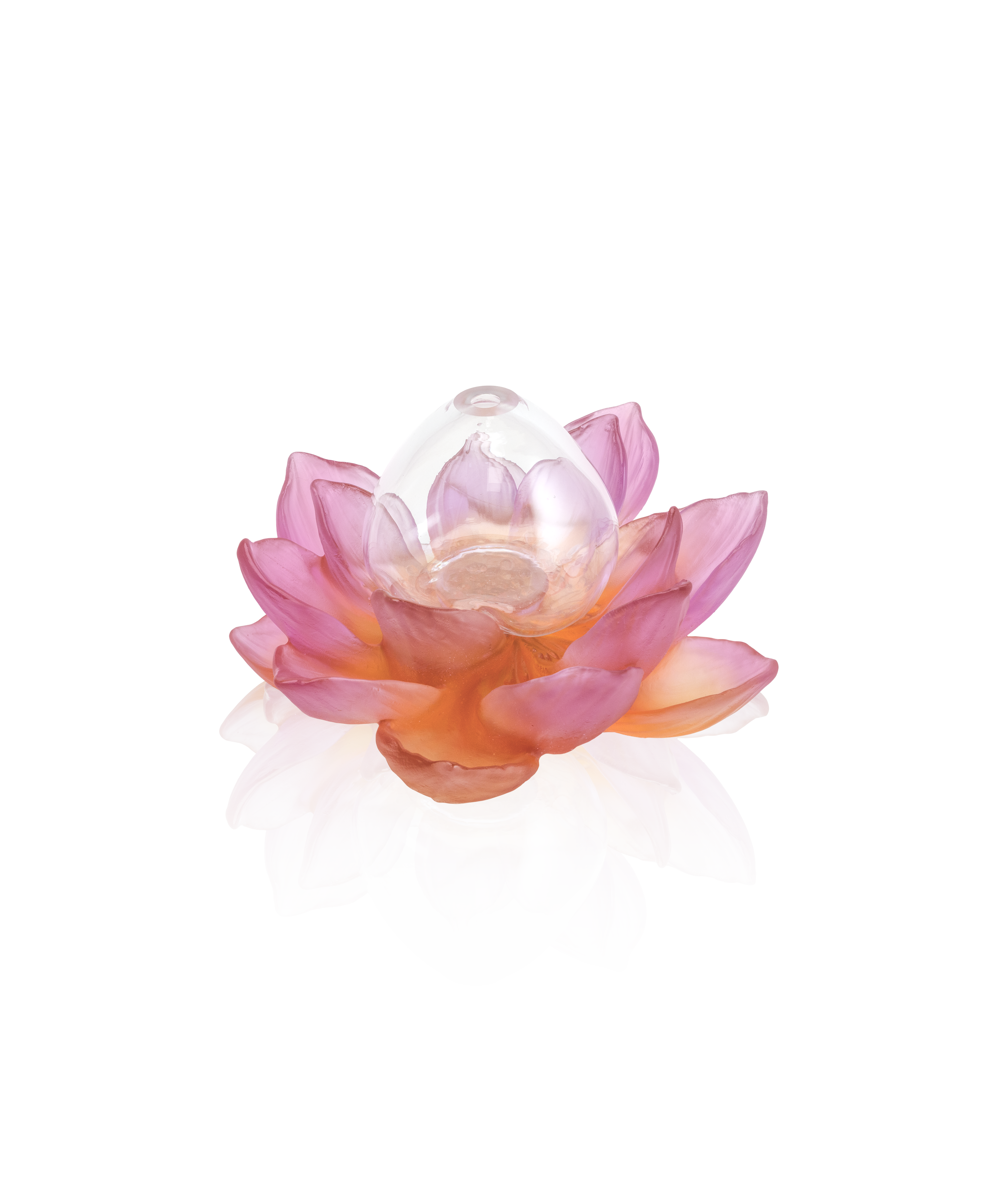 Jardin de Lotus Soliflore Ambre-rose - Daum