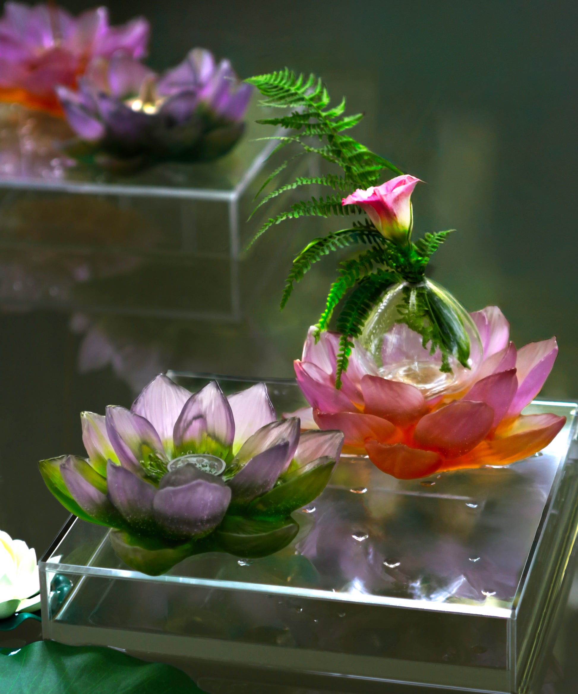 Vase soliflore Jardin de Lotus Ambre-Rose de la marque Daum, en verre soufflé avec motif floral.