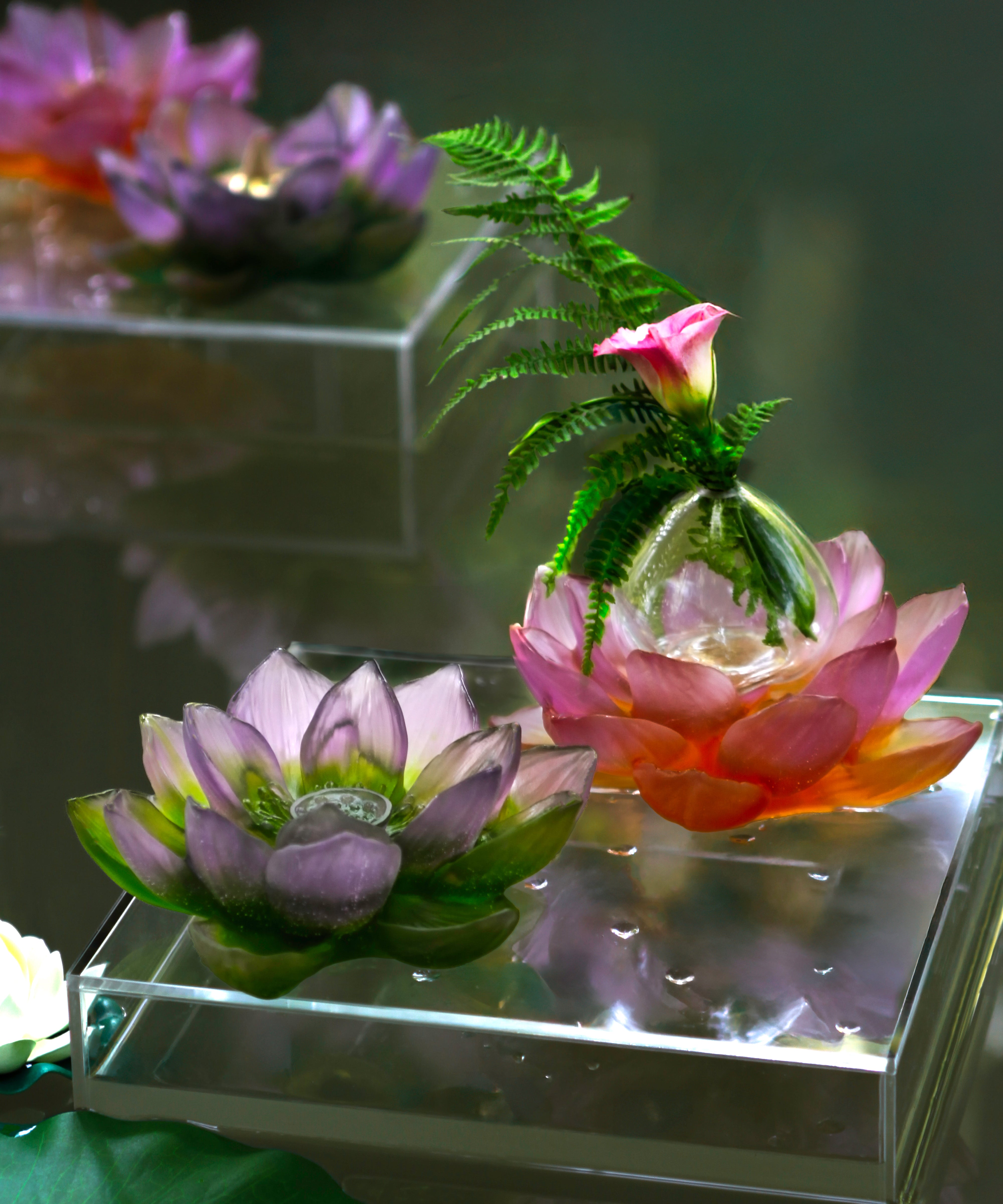 Jardin de Lotus Soliflore Ambre-rose - Daum