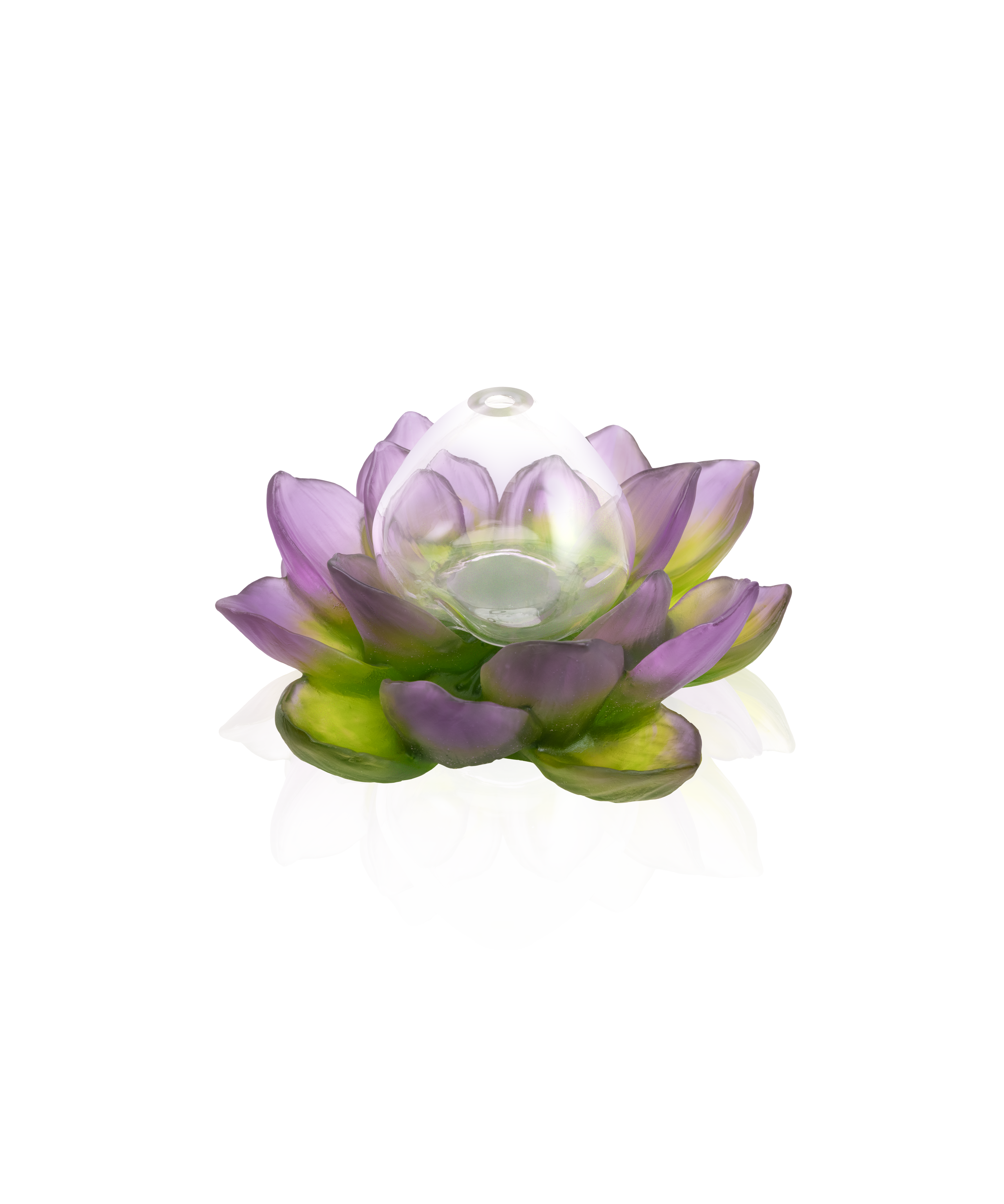 Jardin de Lotus Soliflore Violet-vert - Daum