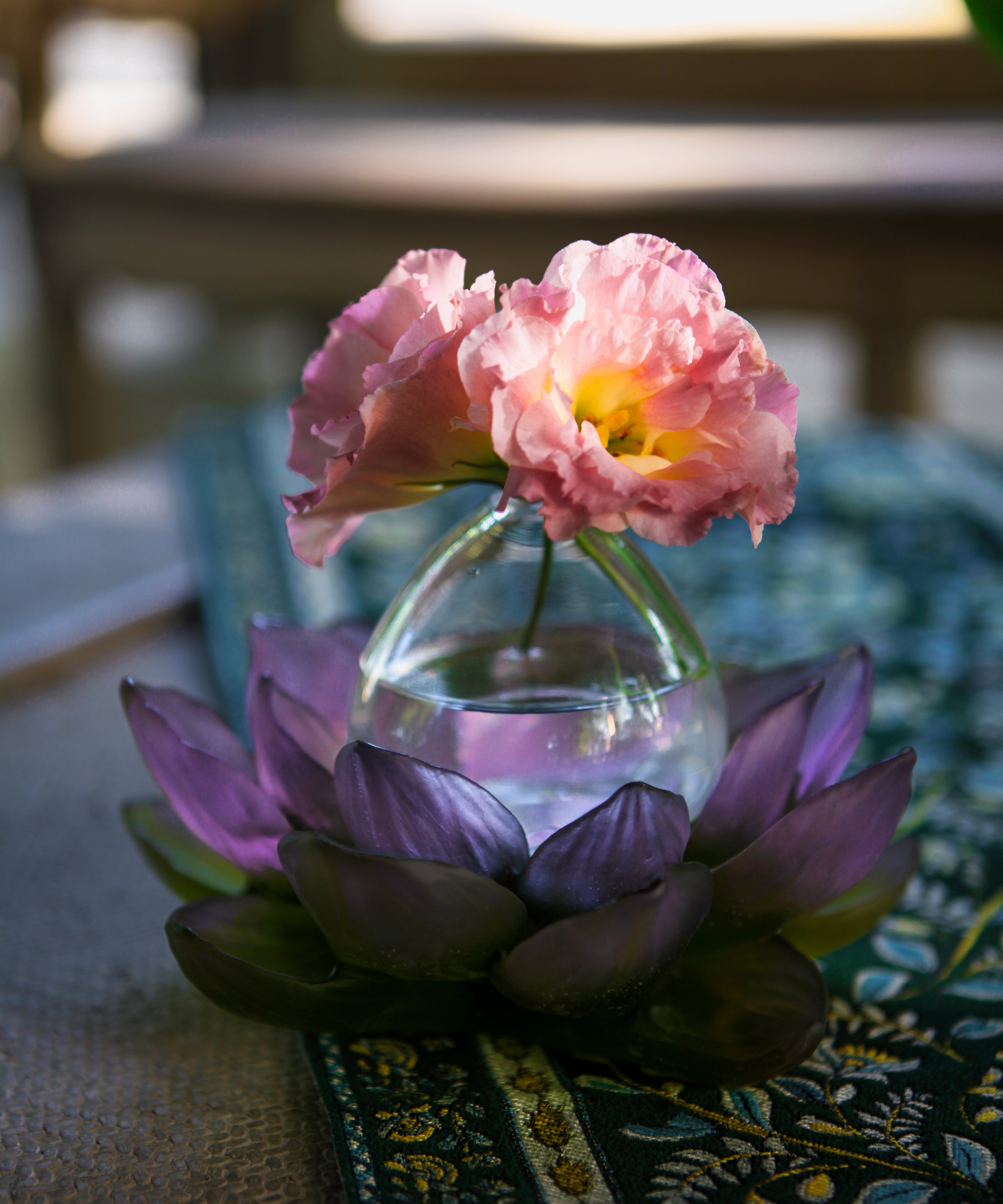 Jardin de Lotus Soliflore Violet-vert - Daum