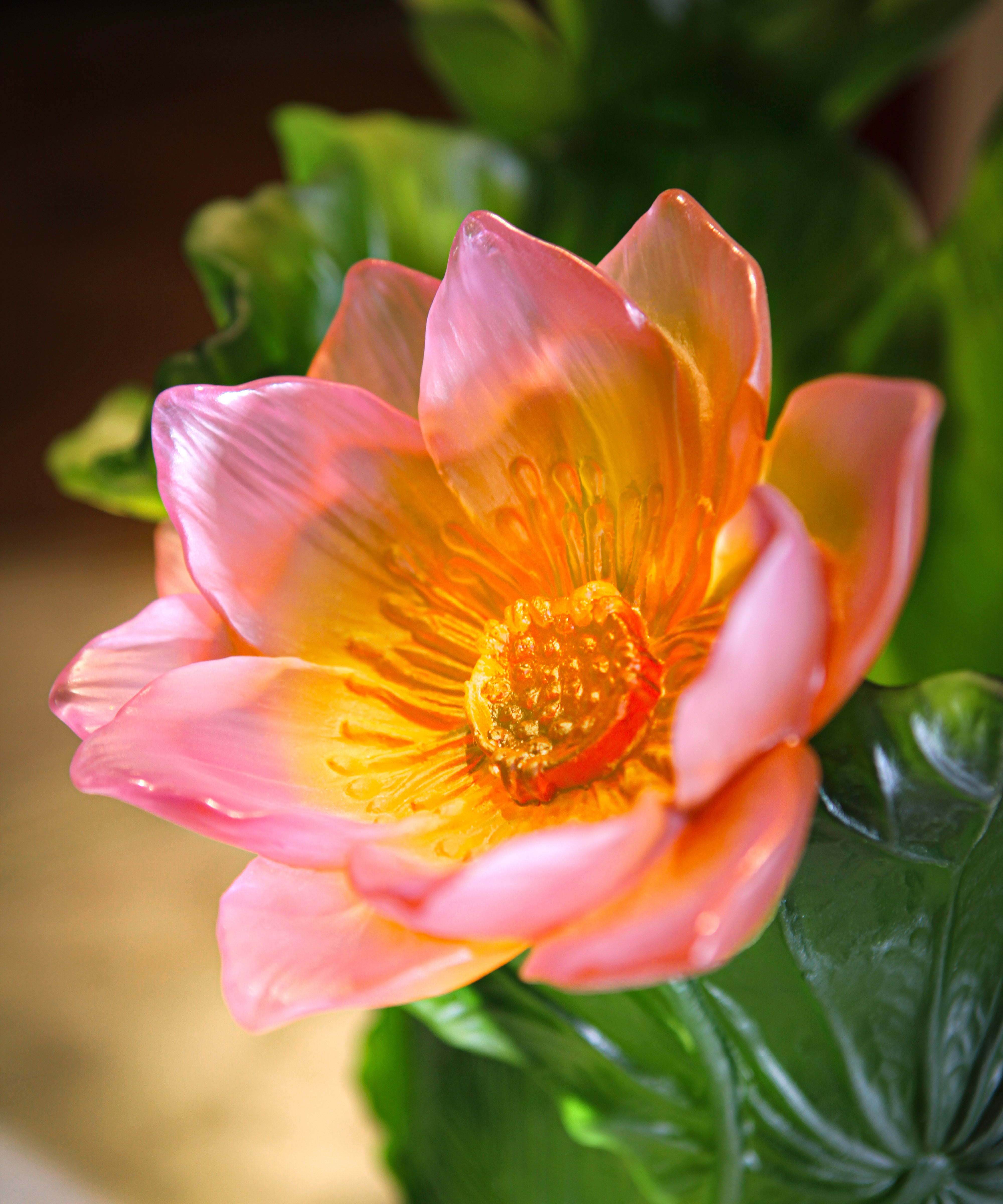 Jardin de Lotus Vase magnum 99ex - Daum