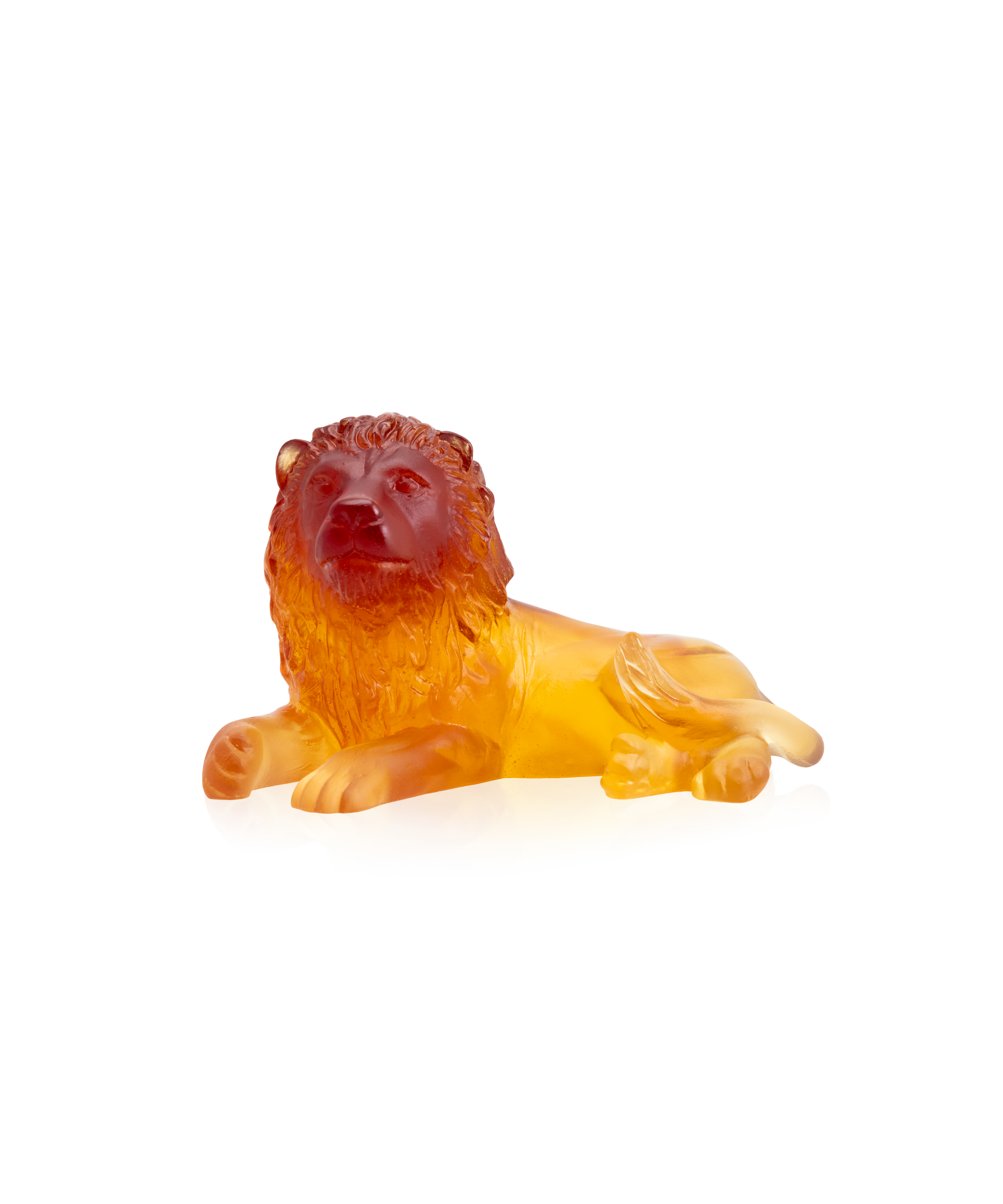 Lion - Daum