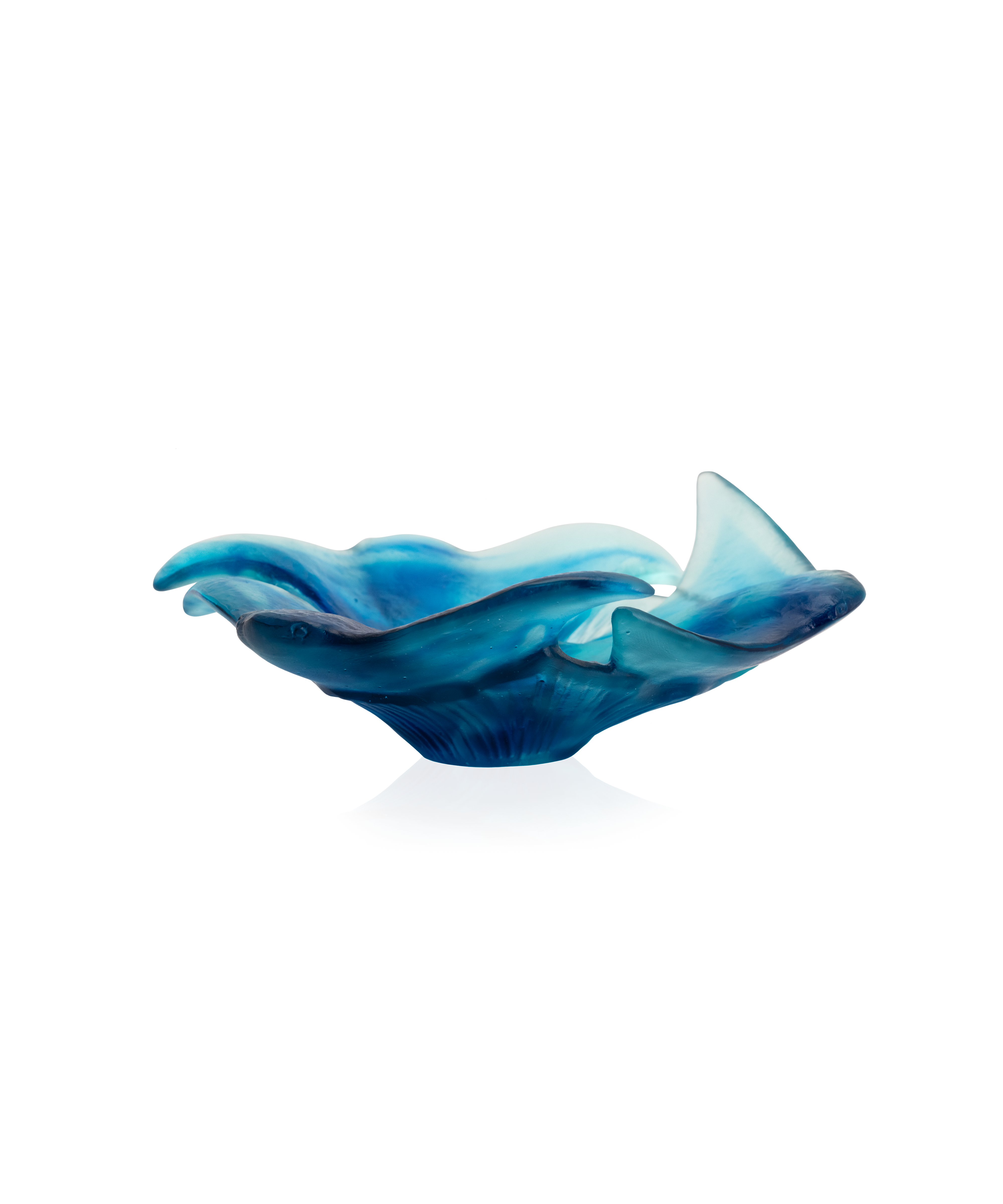 Maya Coupelle - Daum