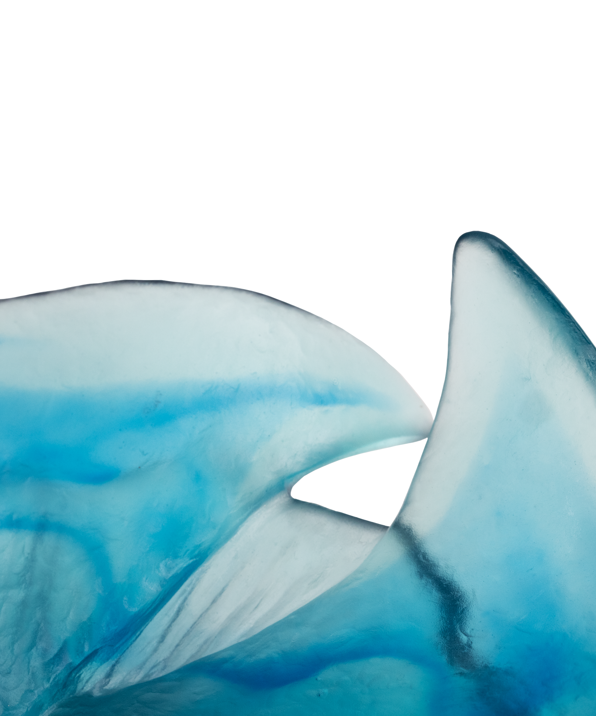 Maya Coupelle - Daum