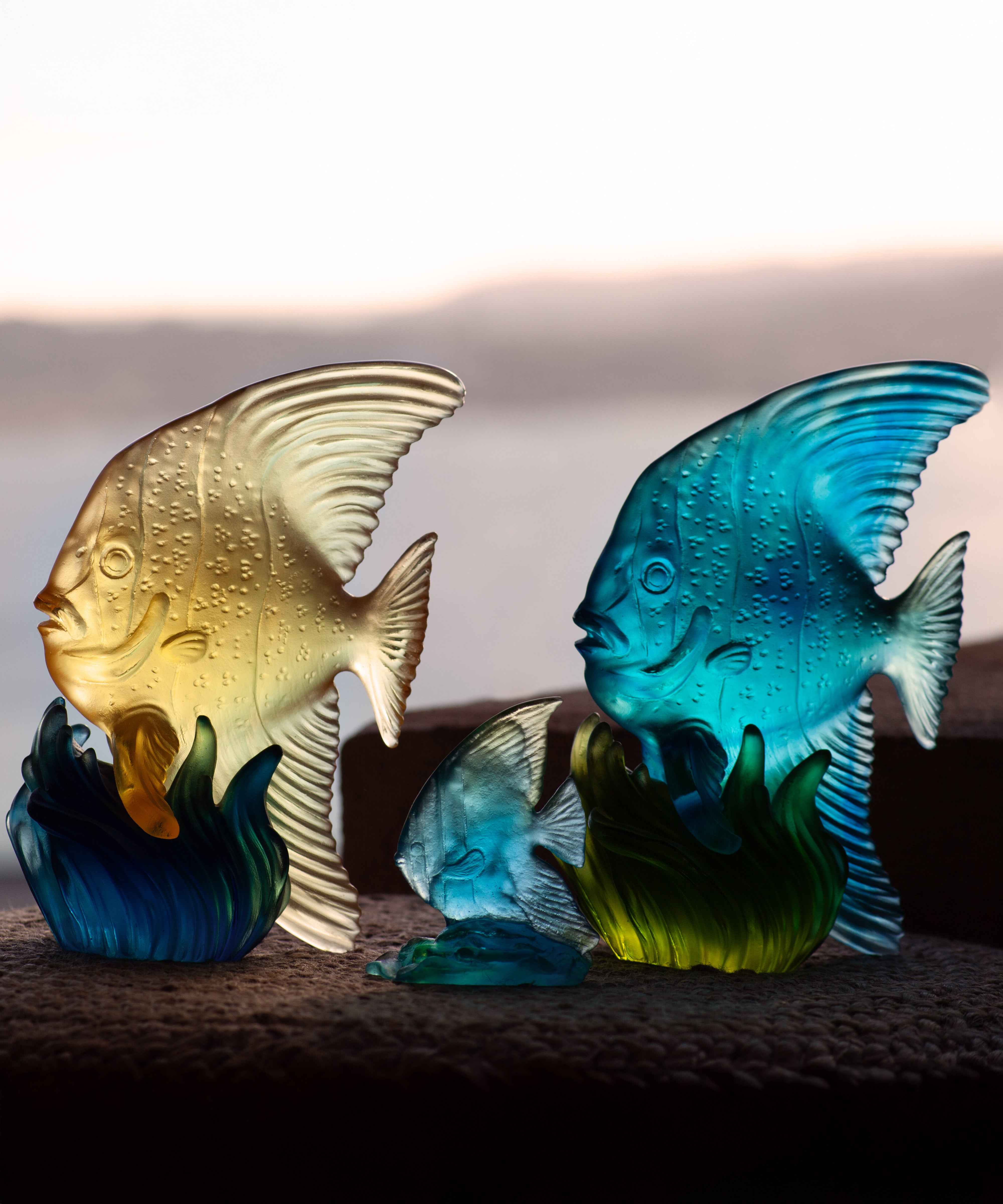 Maya Platax moyen modèle Bleu et vert