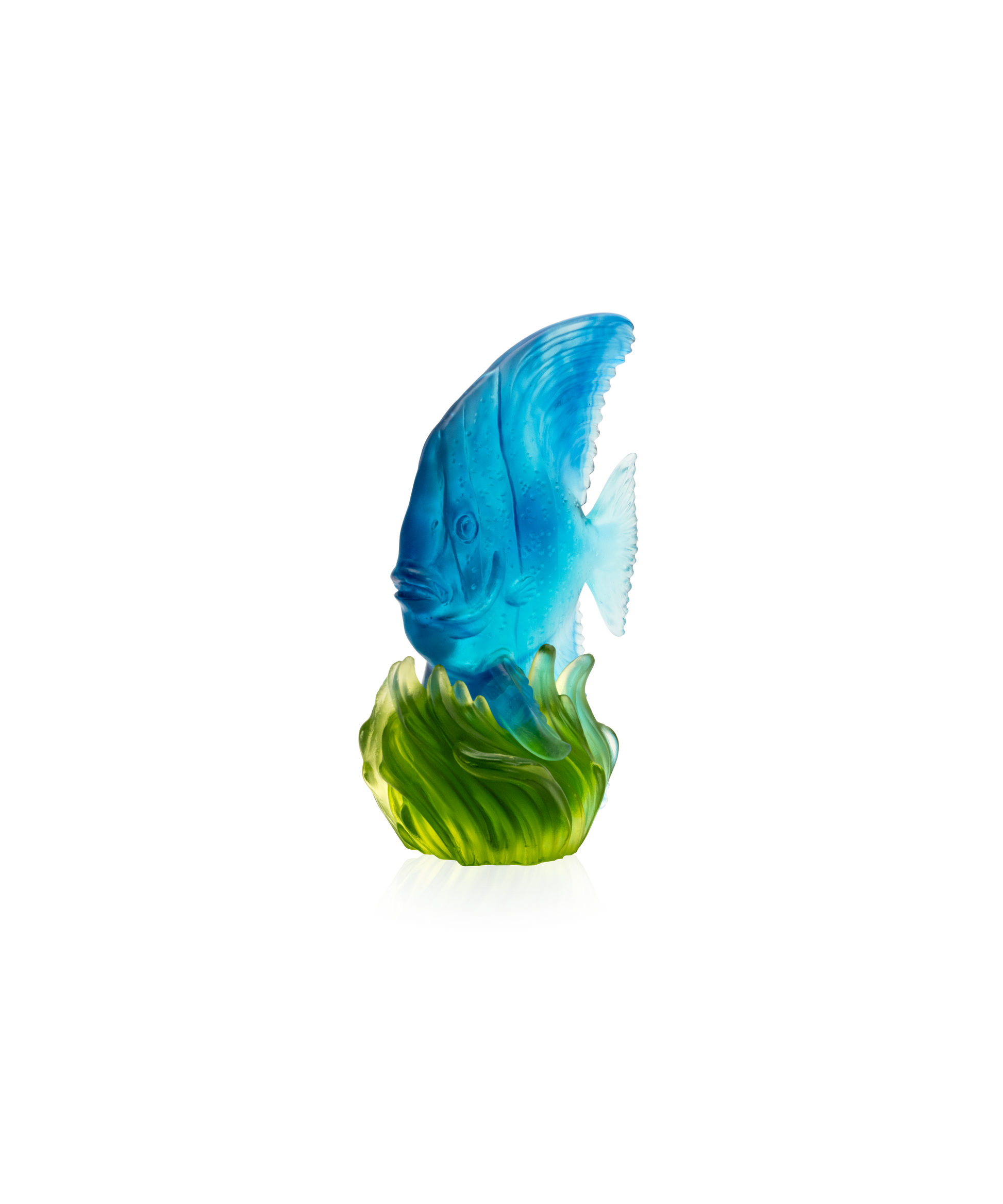 Maya Platax moyen modèle Bleu et vert