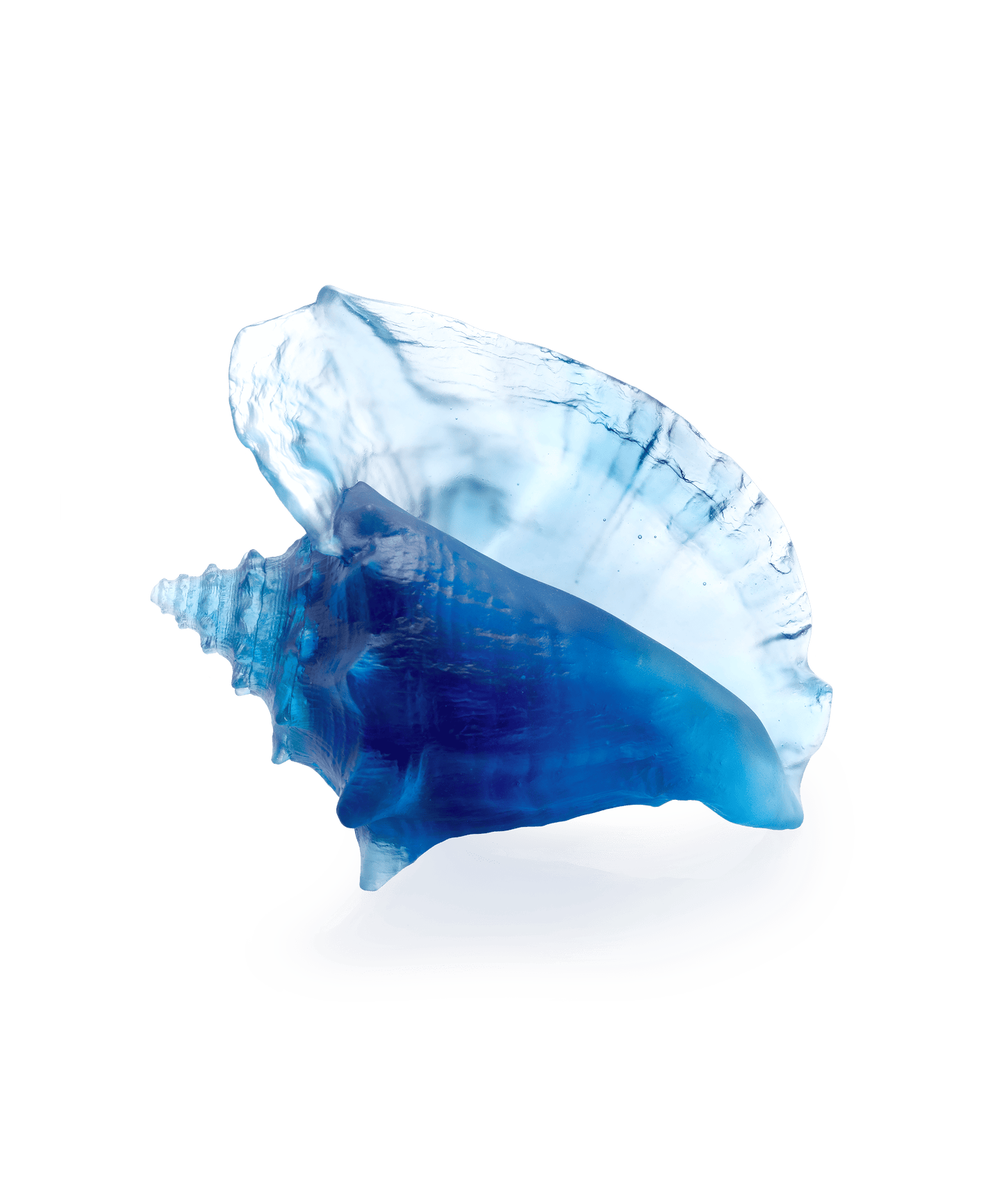 Mer de Corail Coquillage conque - Daum