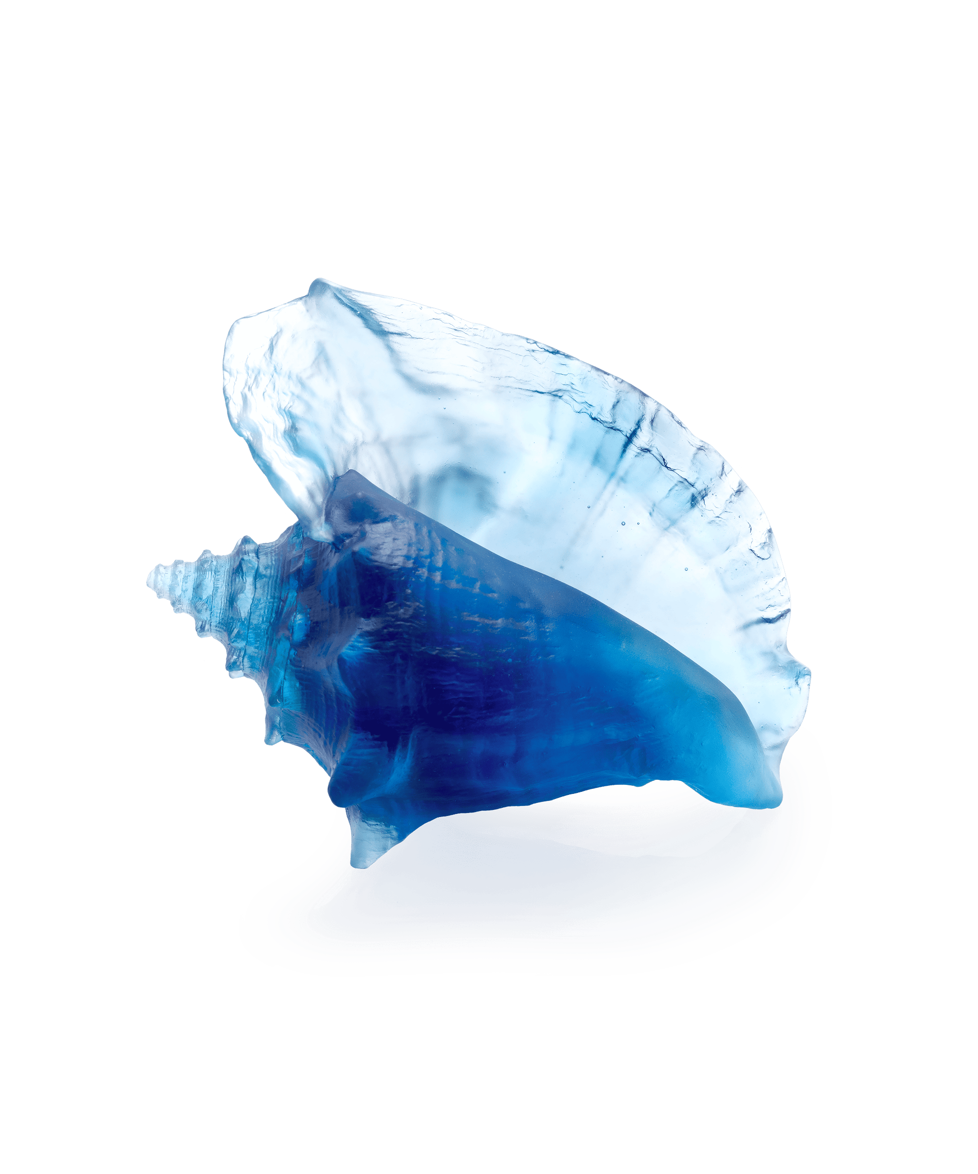 Mer de Corail Coquillage conque - Daum