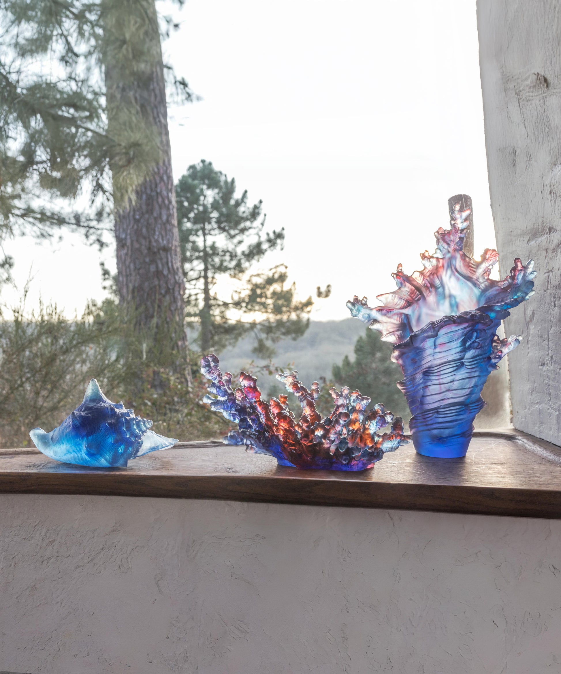 Mer de Corail Coquillage conque - Daum