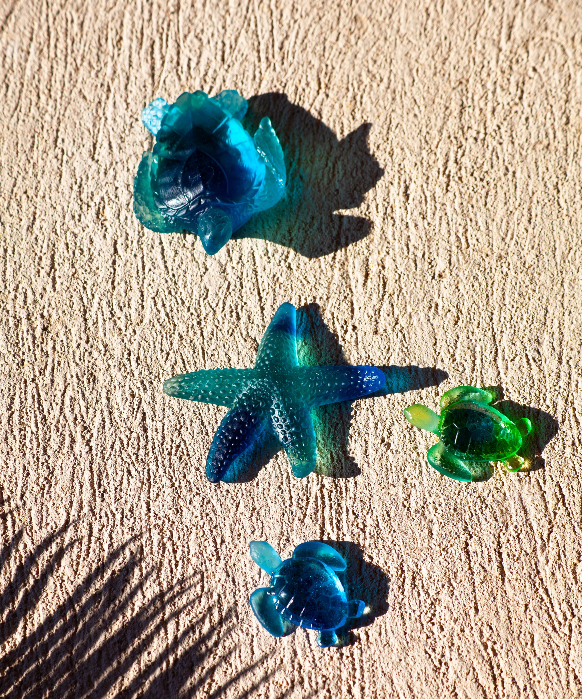 Mer de Corail Etoile de mer Bleue - Daum
